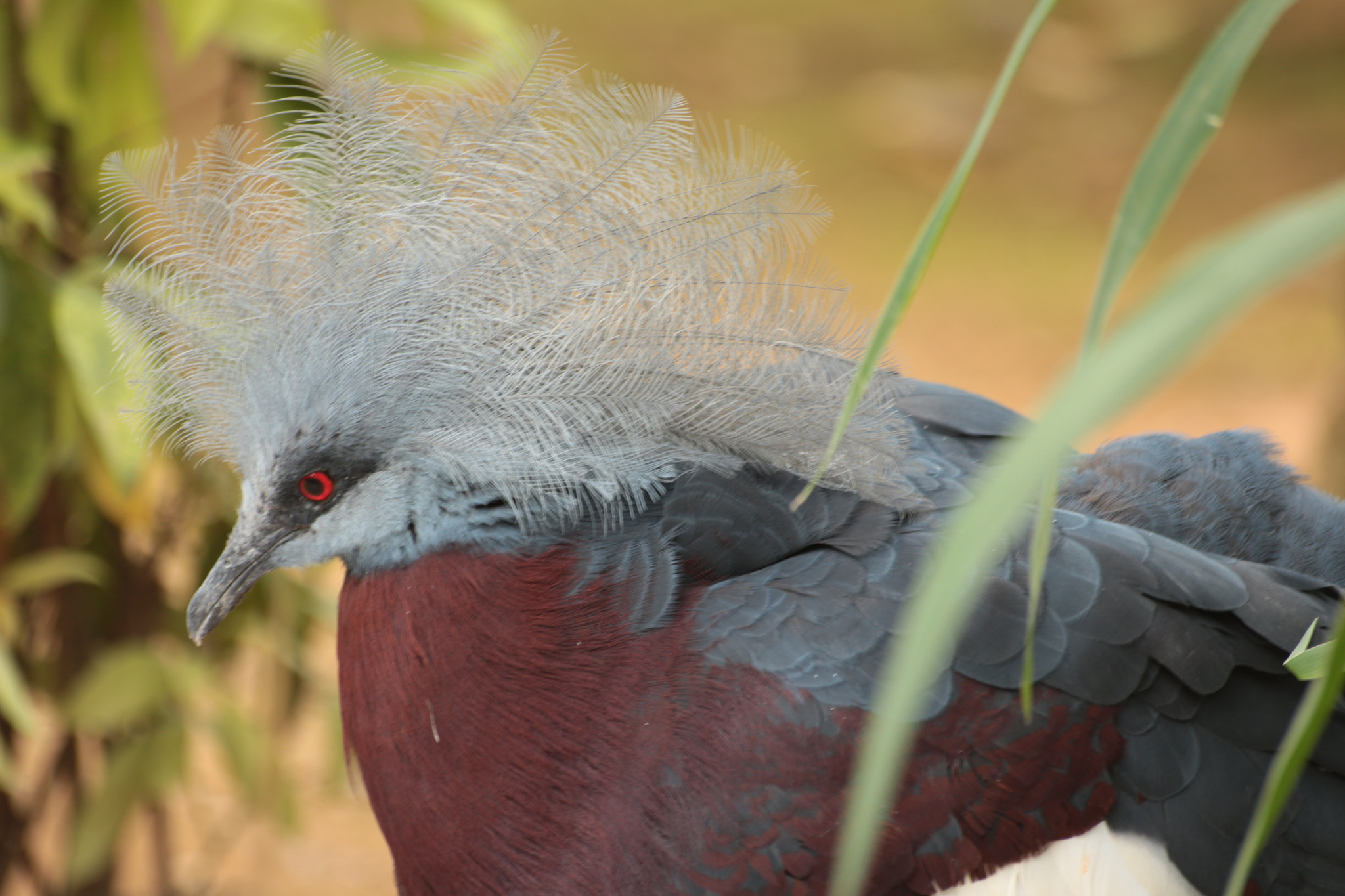 Canon EOS 700D (EOS Rebel T5i / EOS Kiss X7i) sample photo. Img photography