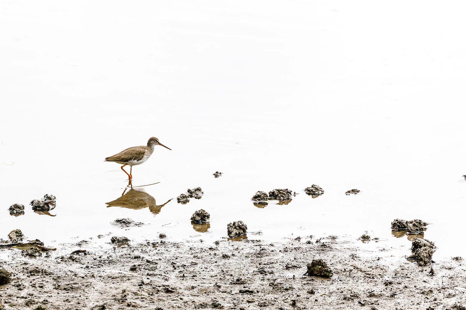 Canon EF 70-300mm F4-5.6L IS USM sample photo. Between tides photography