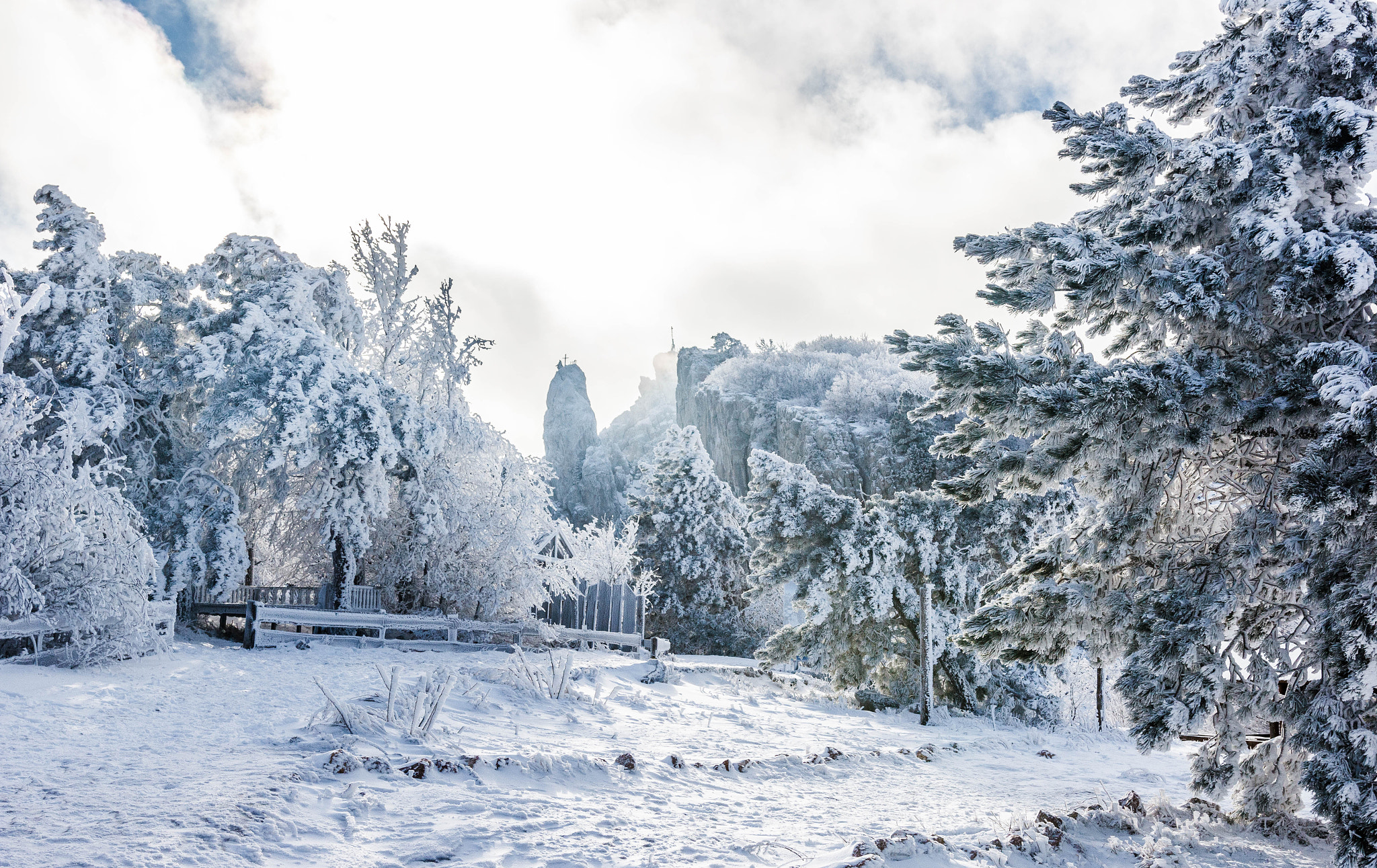 Canon EOS 60D + Sigma 18-35mm f/1.8 DC HSM sample photo. Winter snowy forest in crimean mountains photography