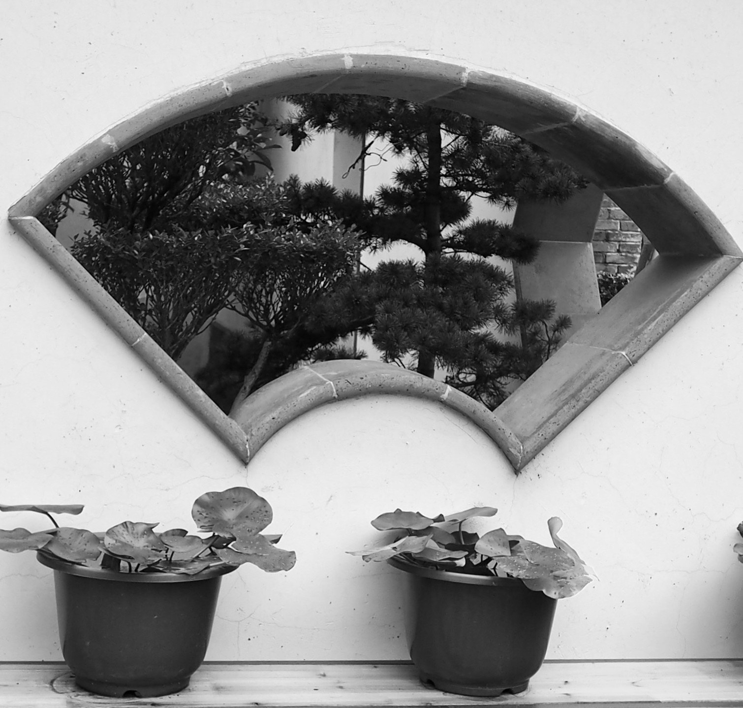 Olympus OM-D E-M10 + OLYMPUS M.12mm F2.0 sample photo. Garden window photography