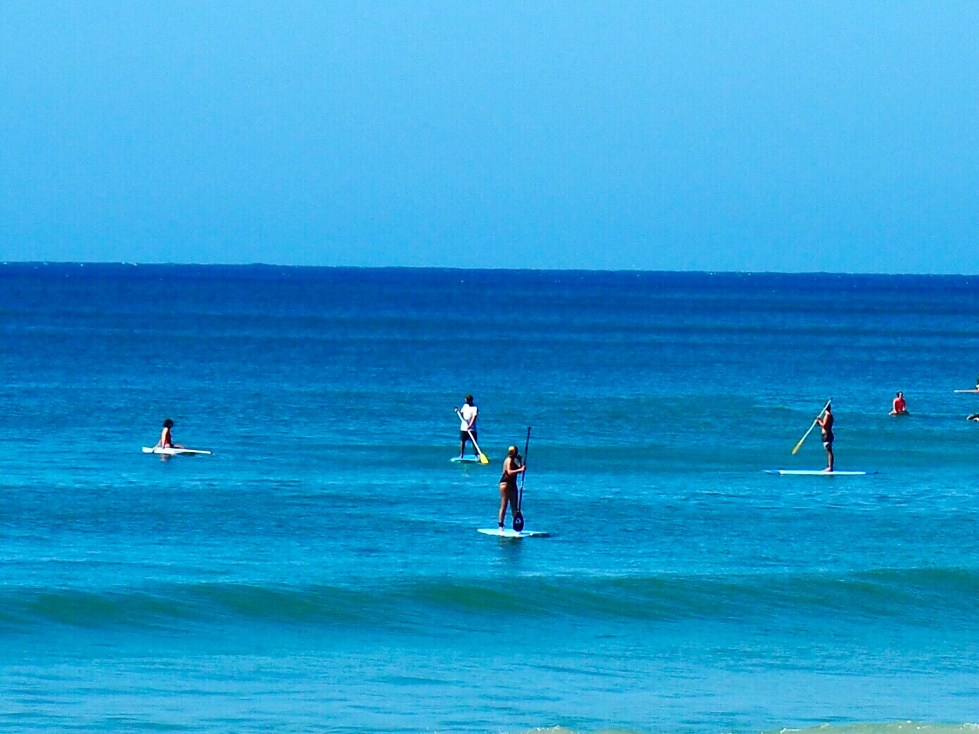Olympus OM-D E-M10 sample photo. Upright - noosa, australia photography