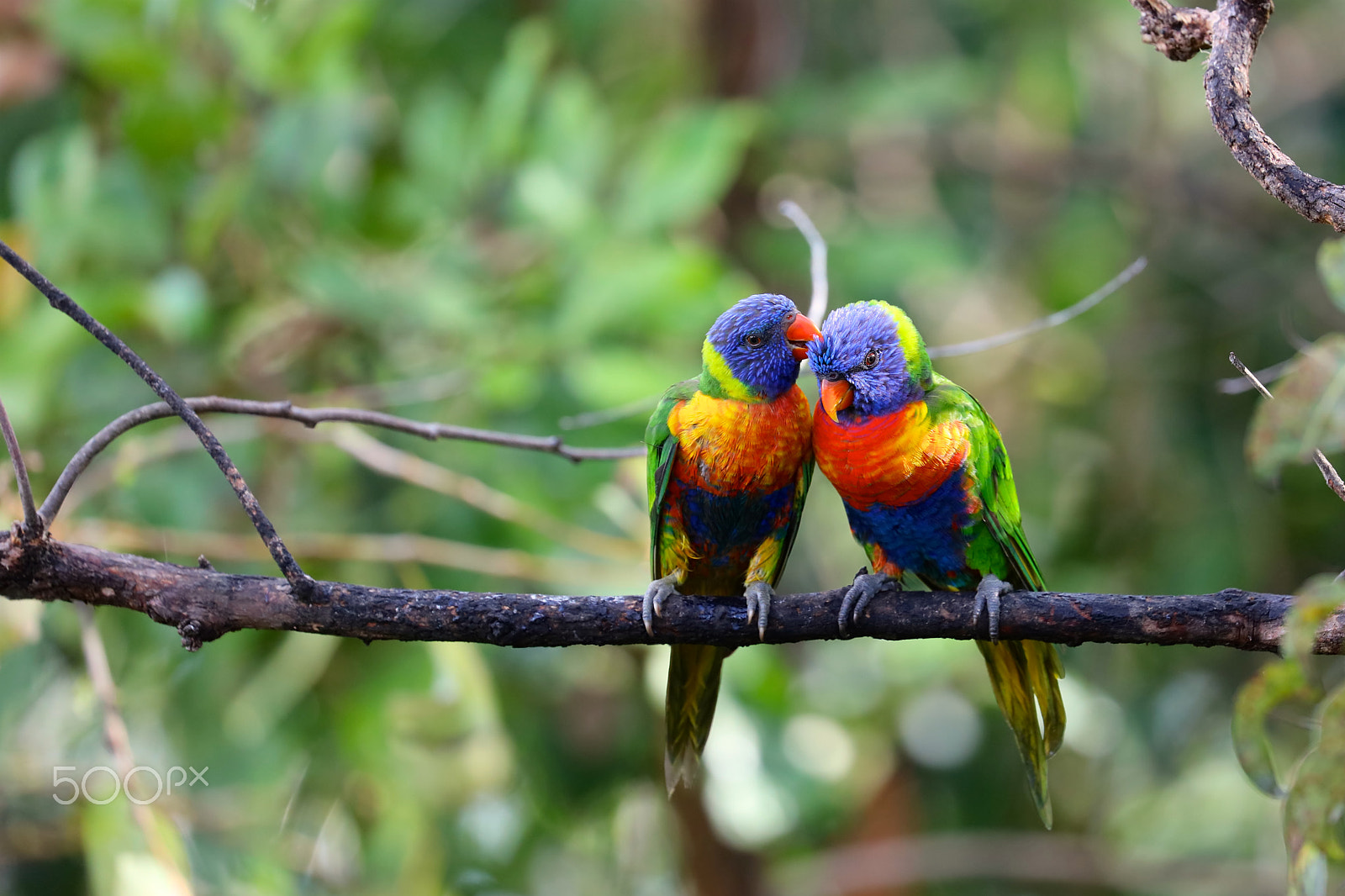 Canon EOS 5DS R sample photo. Couple thing ;-) photography
