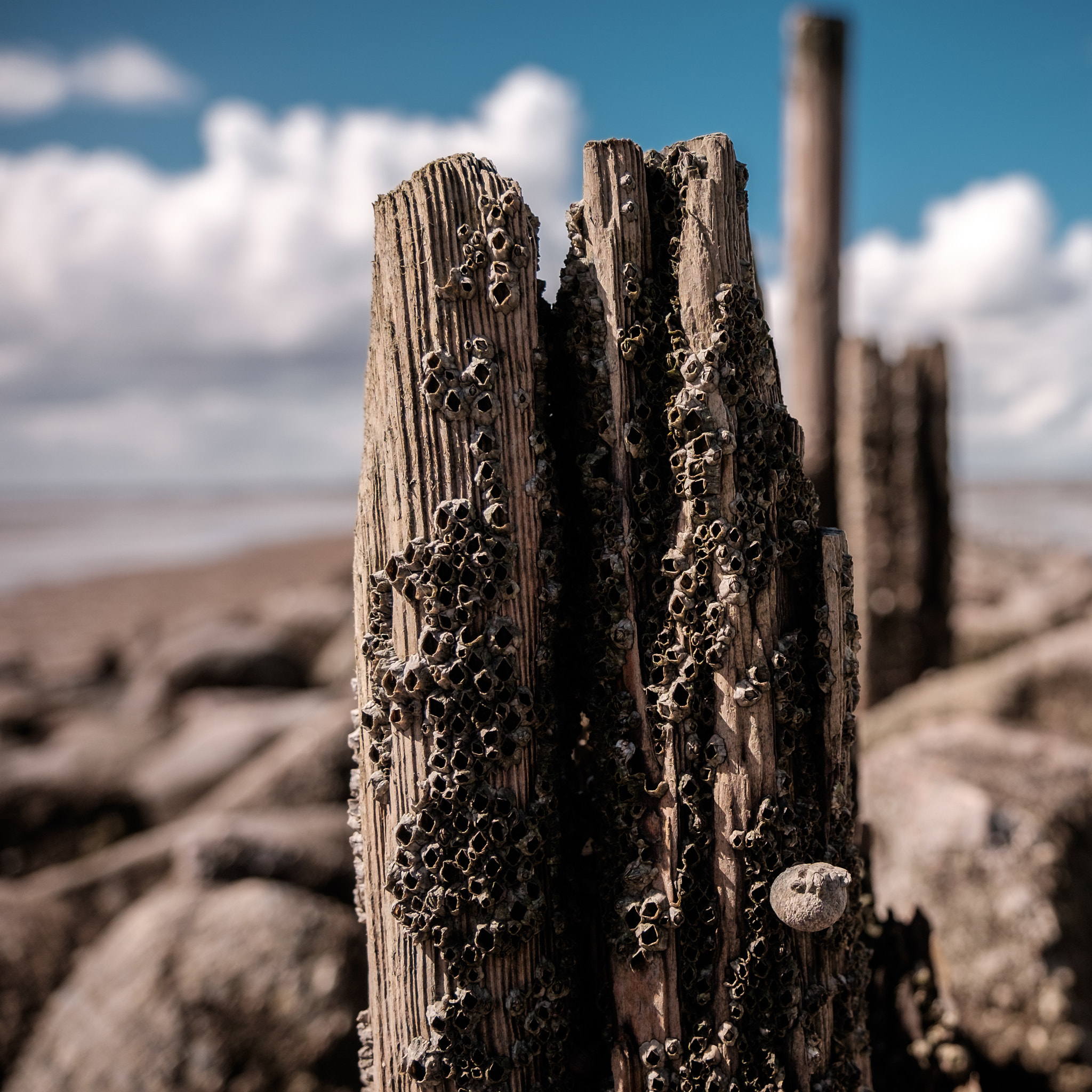 Fujifilm X-T10 + Fujifilm XF 16-55mm F2.8 R LM WR sample photo. Irgendwo an der nordsee  photography
