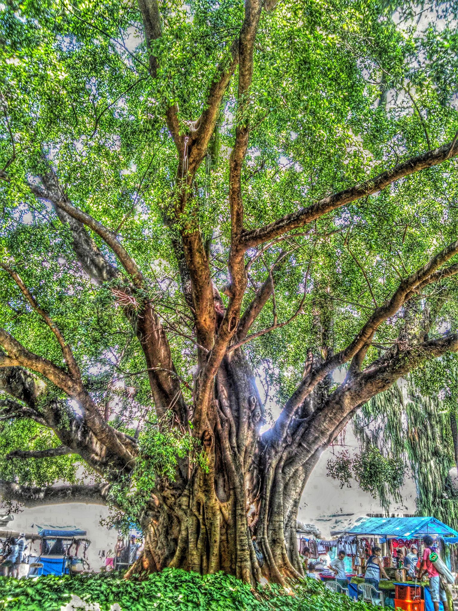 LG L70 sample photo