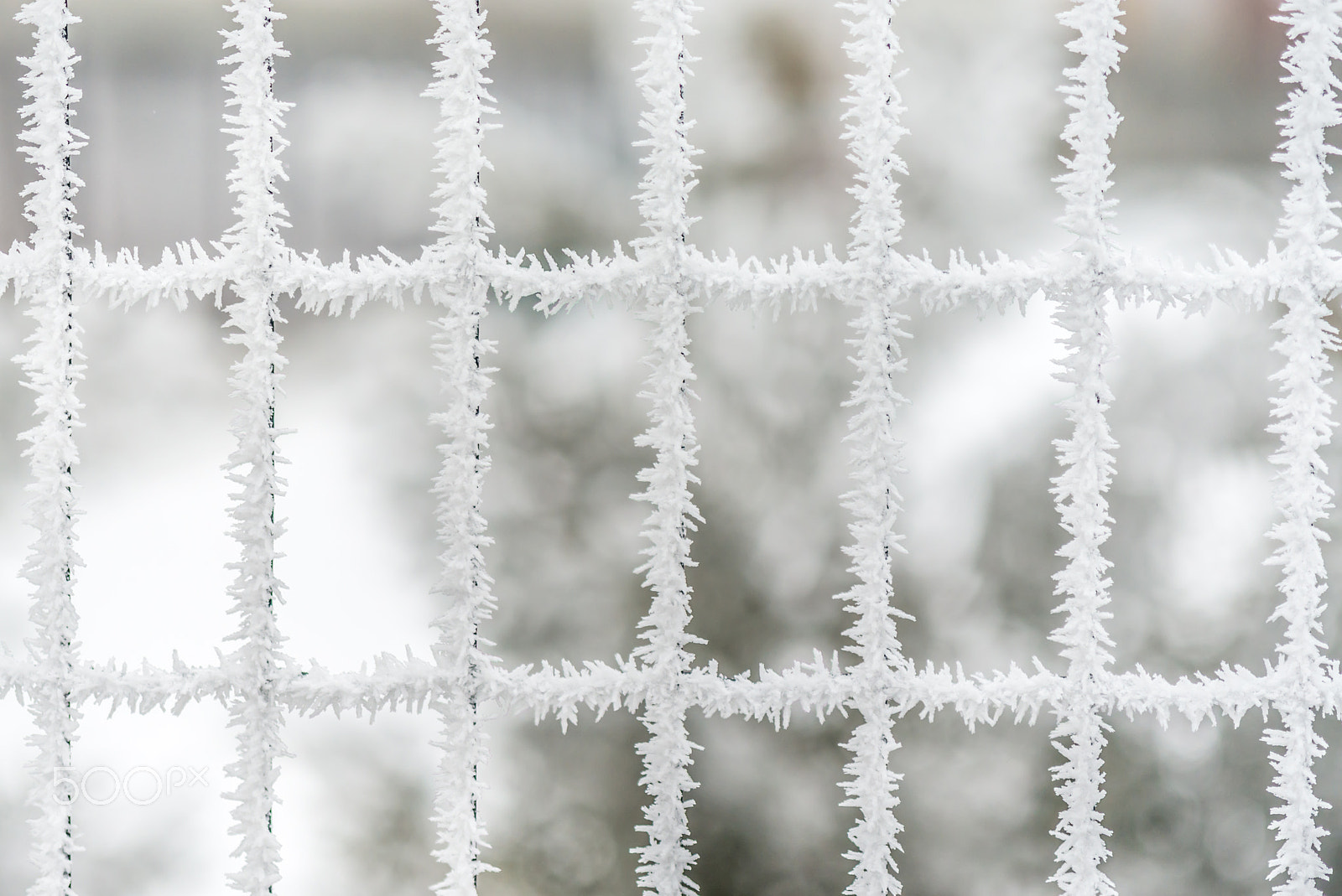 Nikon D610 + AF Micro-Nikkor 105mm f/2.8 sample photo. Frozen crystal windows to magic world photography