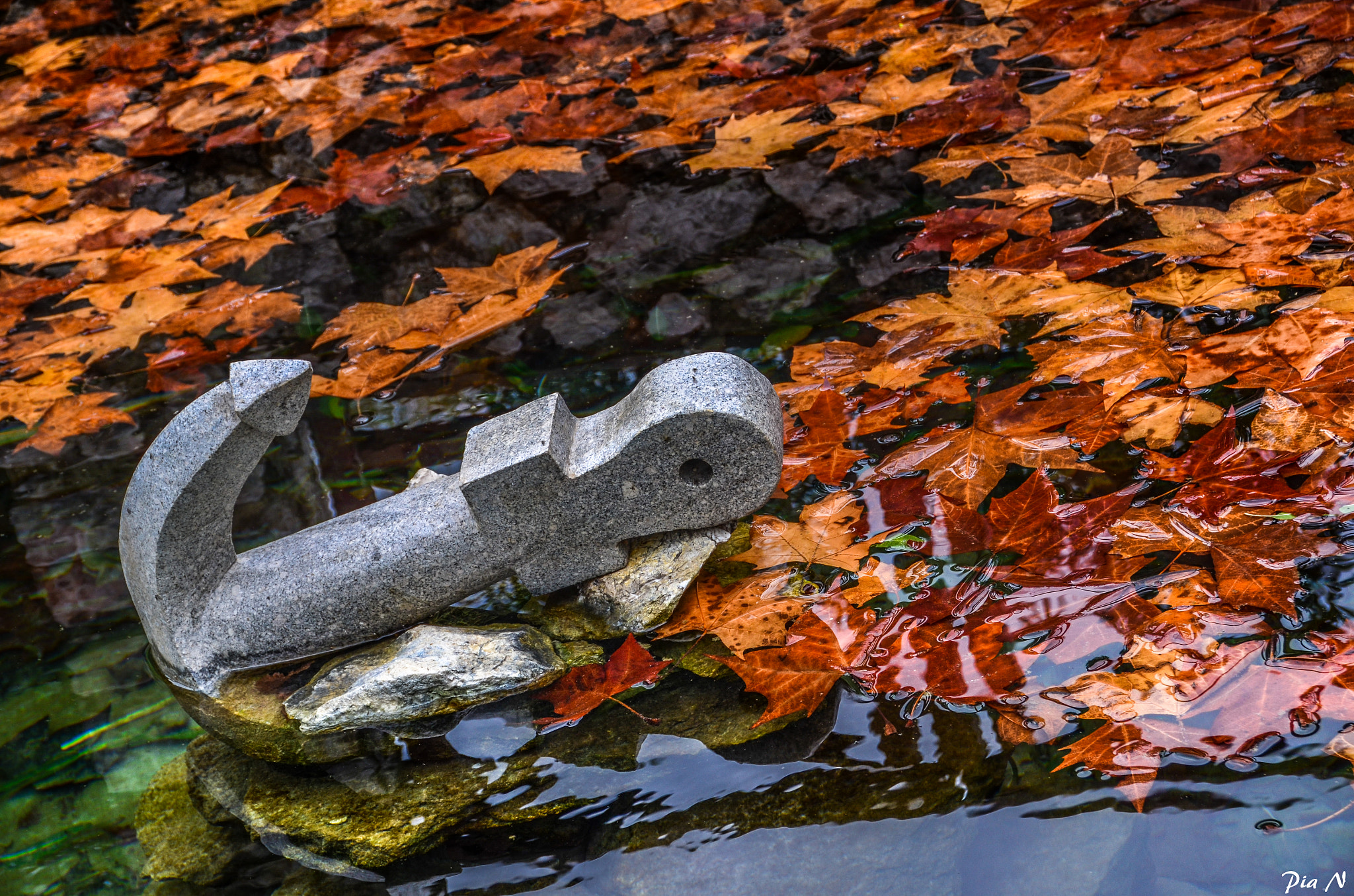 Sigma 18-200mm F3.5-6.3 II DC OS HSM sample photo. Αutumn colours photography