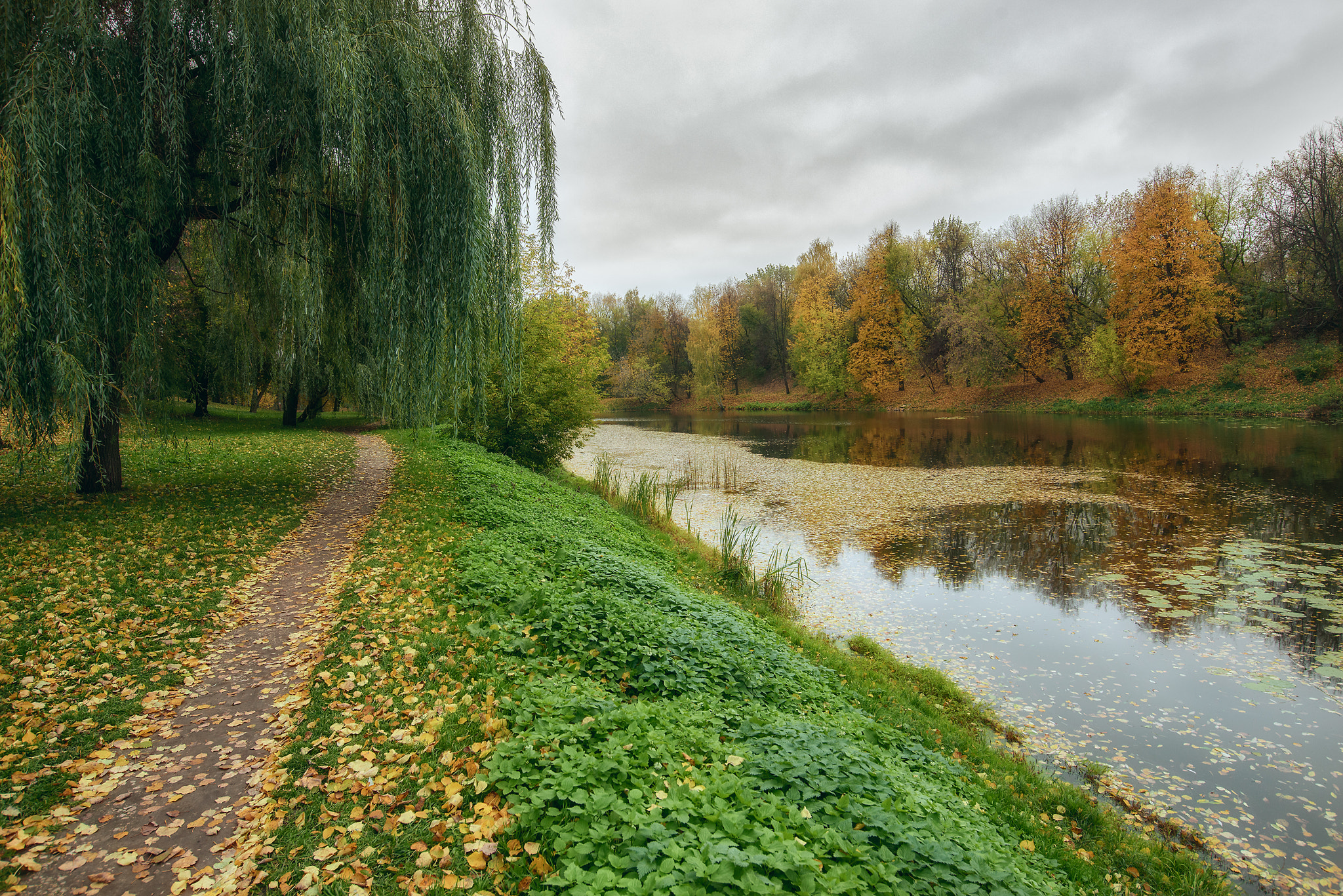 Nikon AF-S Nikkor 18-35mm F3.5-4.5G ED sample photo. The colors of autumn photography