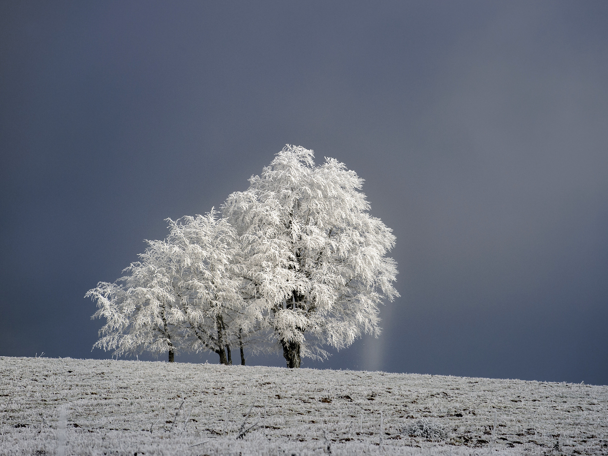 Nikon D3S sample photo. Frimas photography