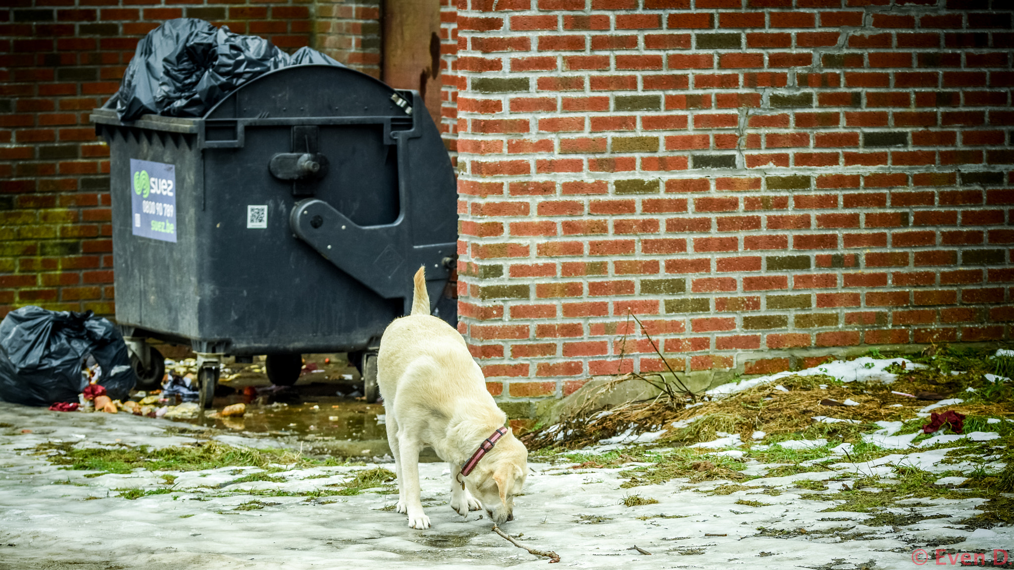 Sigma 105mm F2.8 EX DG OS HSM sample photo. Looking for food photography