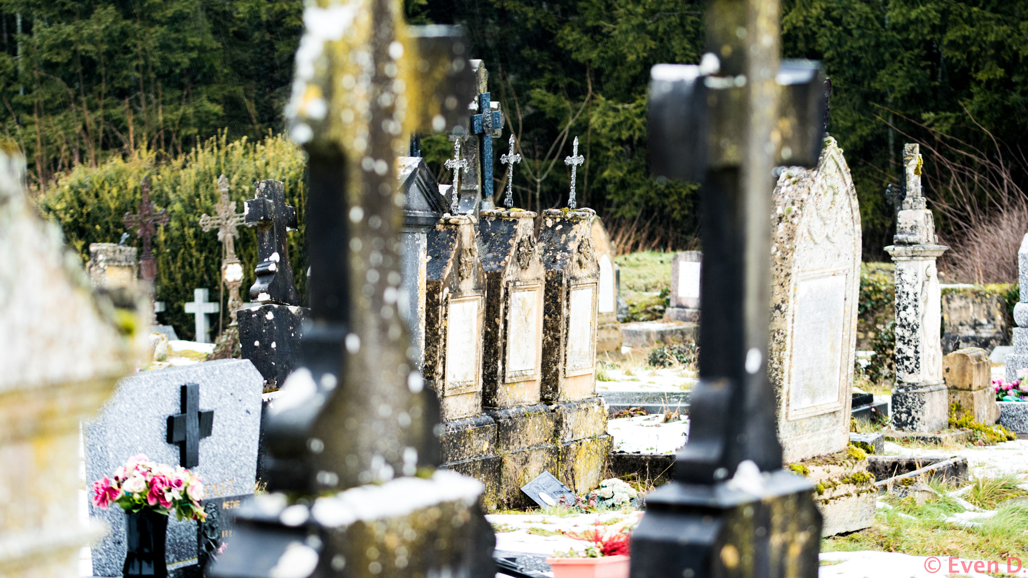Sigma 105mm F2.8 EX DG OS HSM sample photo. Sad day photography