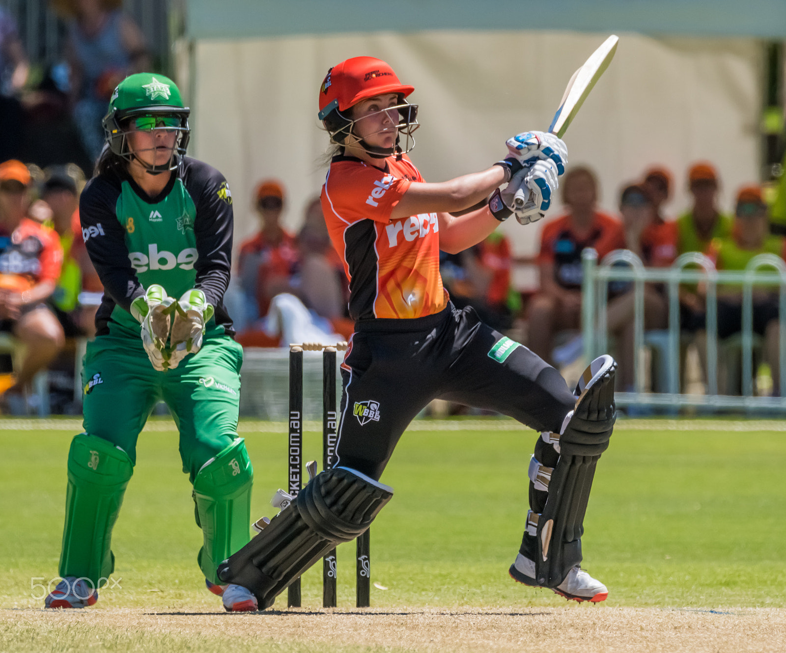 Sigma 150-600mm F5-6.3 DG OS HSM | C sample photo. Heather graham batting for the perth scorchers photography