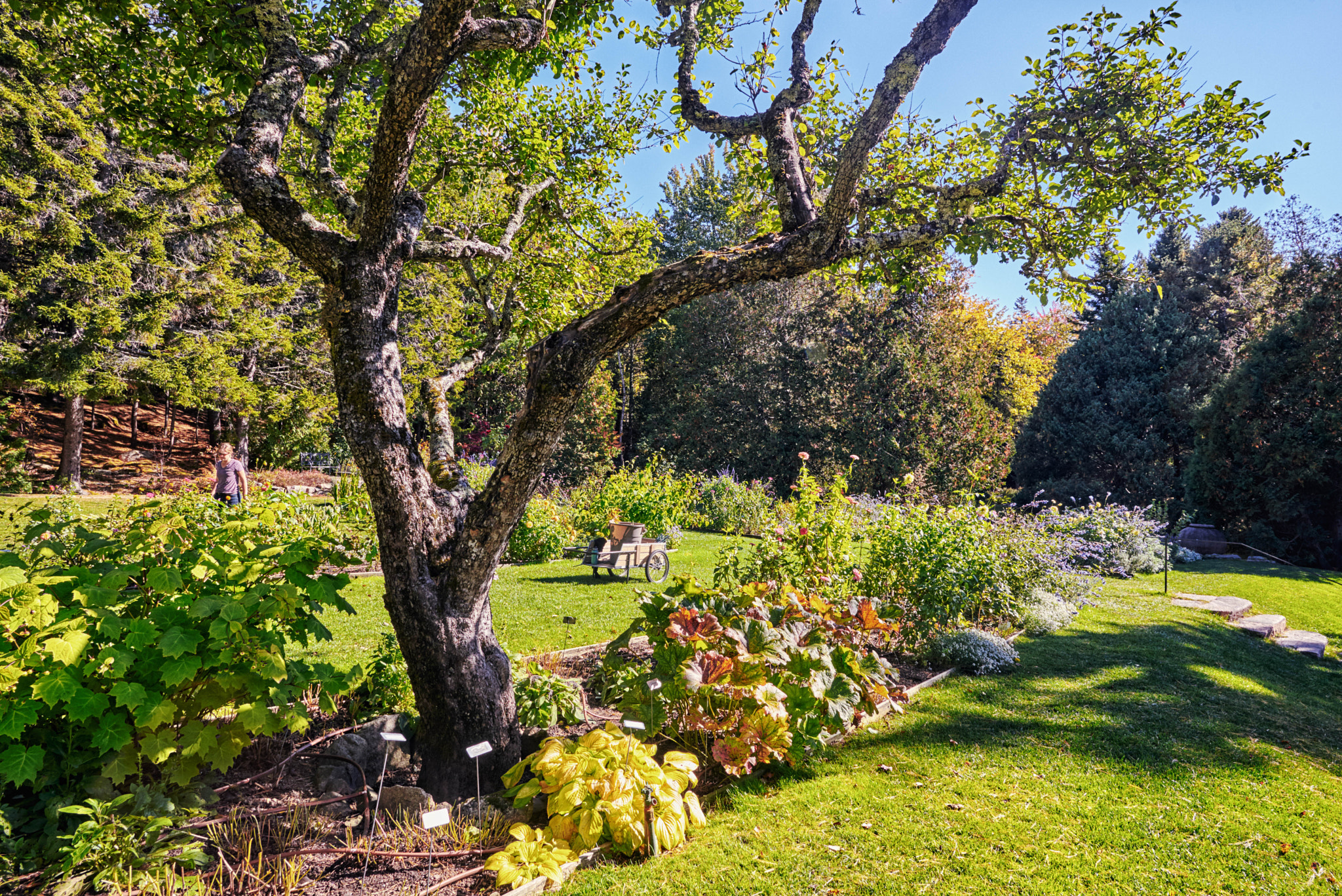 Nikon AF-S Nikkor 20mm F1.8G ED sample photo. Garden work photography