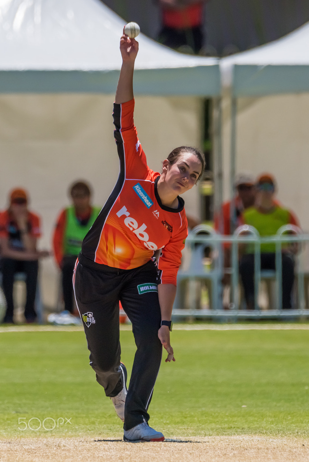 Nikon D810 sample photo. Heather graham bowling for the perth scorchers photography