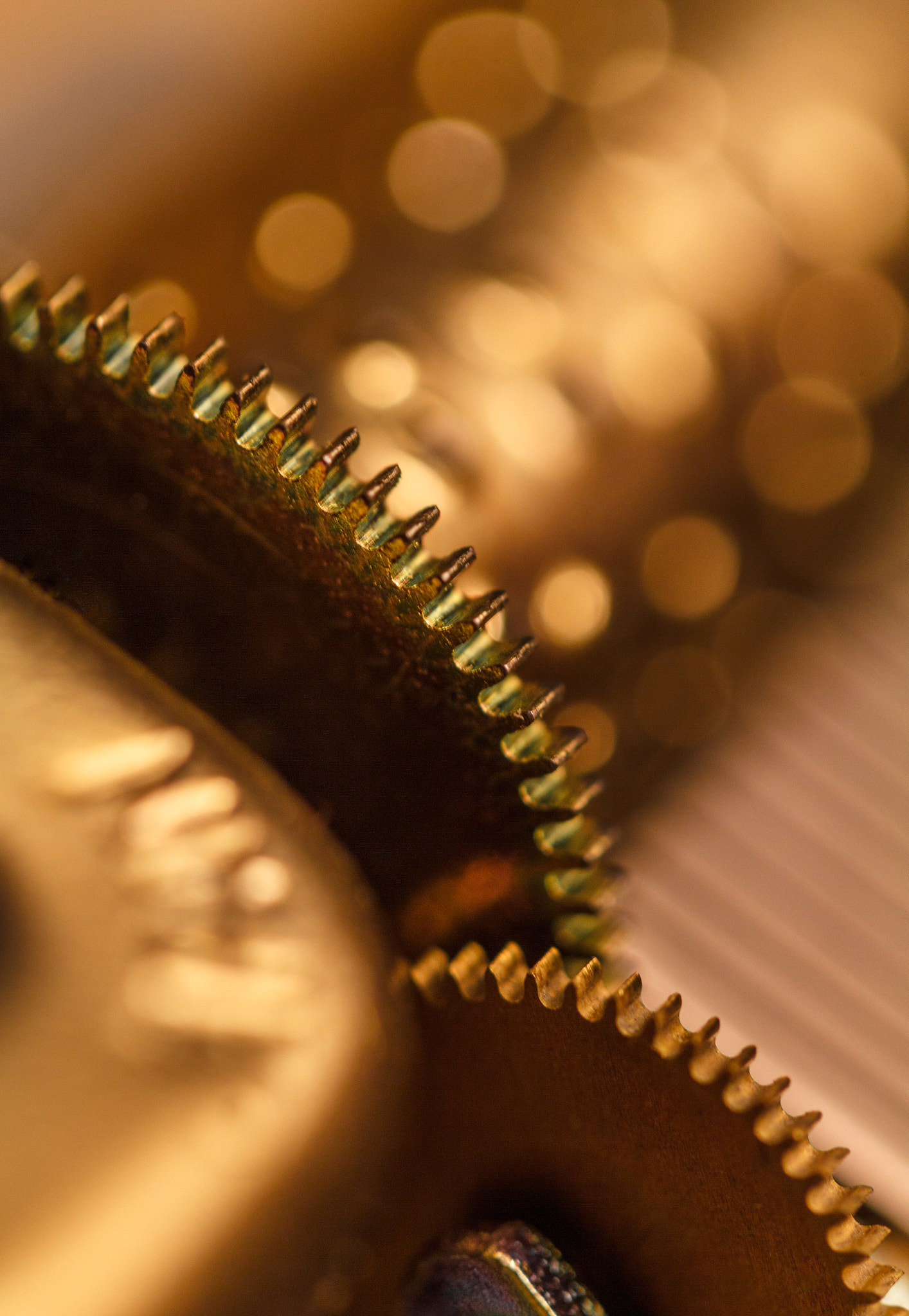 Canon EF-S 60mm F2.8 Macro USM sample photo. Inside a musical box photography