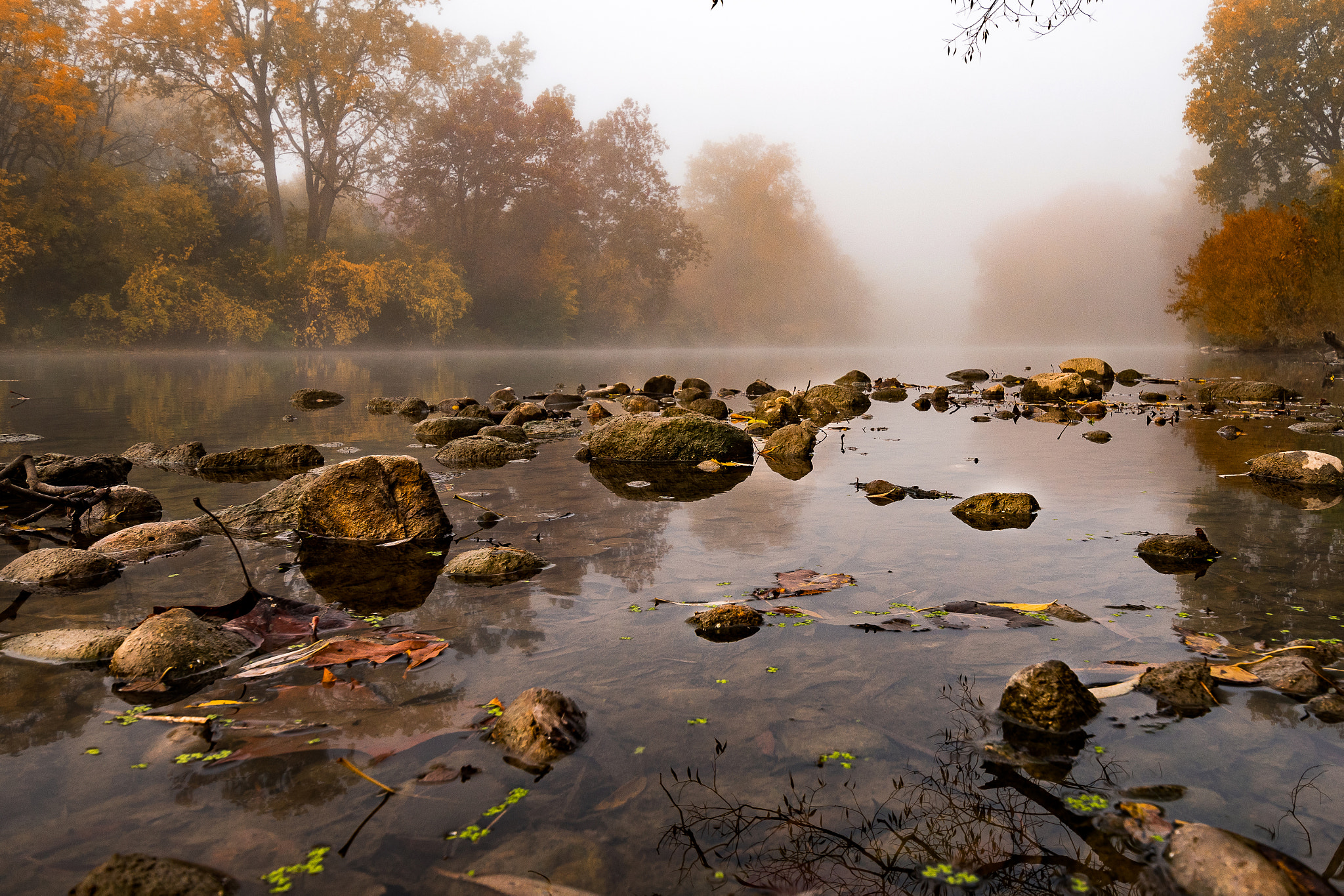 Nikon D500 sample photo. Foggy morning! photography