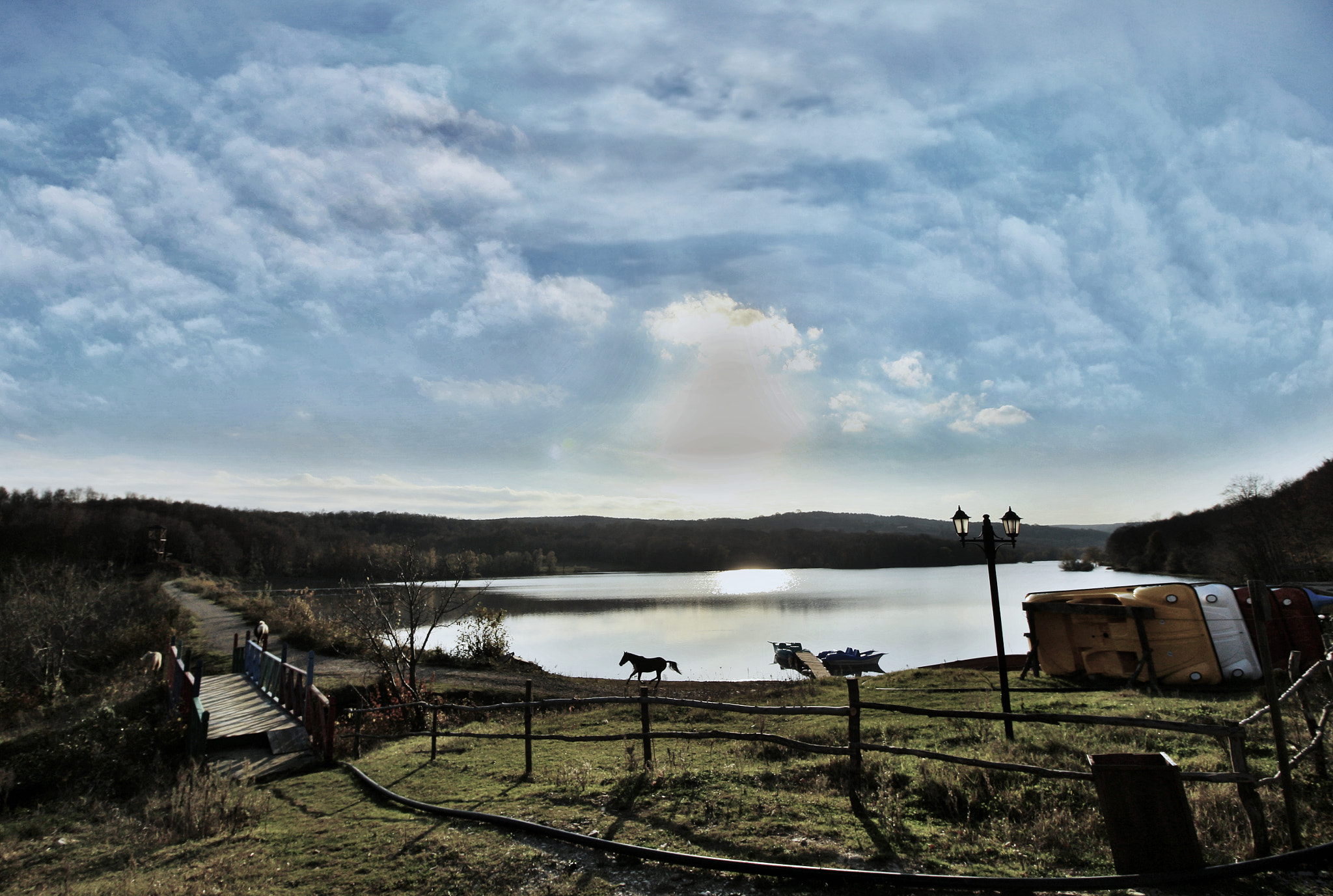 Canon EOS 650D (EOS Rebel T4i / EOS Kiss X6i) sample photo. Horse photography