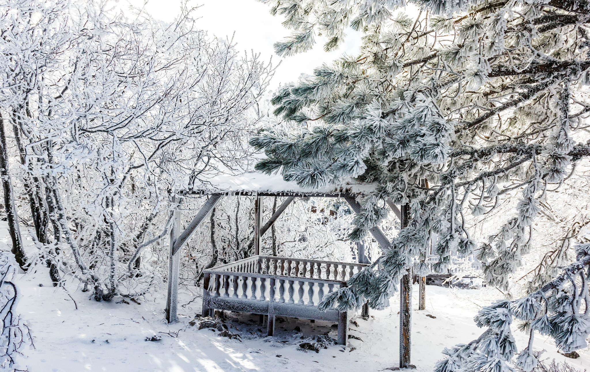 Sigma 18-35mm f/1.8 DC HSM sample photo. Winter in crimean mountains, russia photography