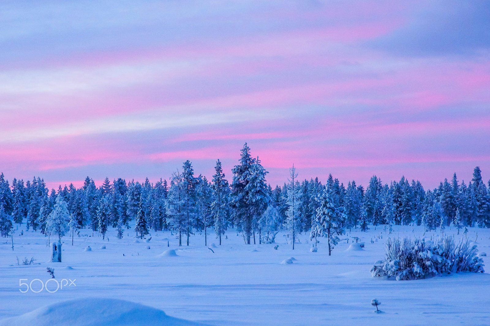 Sony SLT-A77 sample photo. Lapland, finland photography