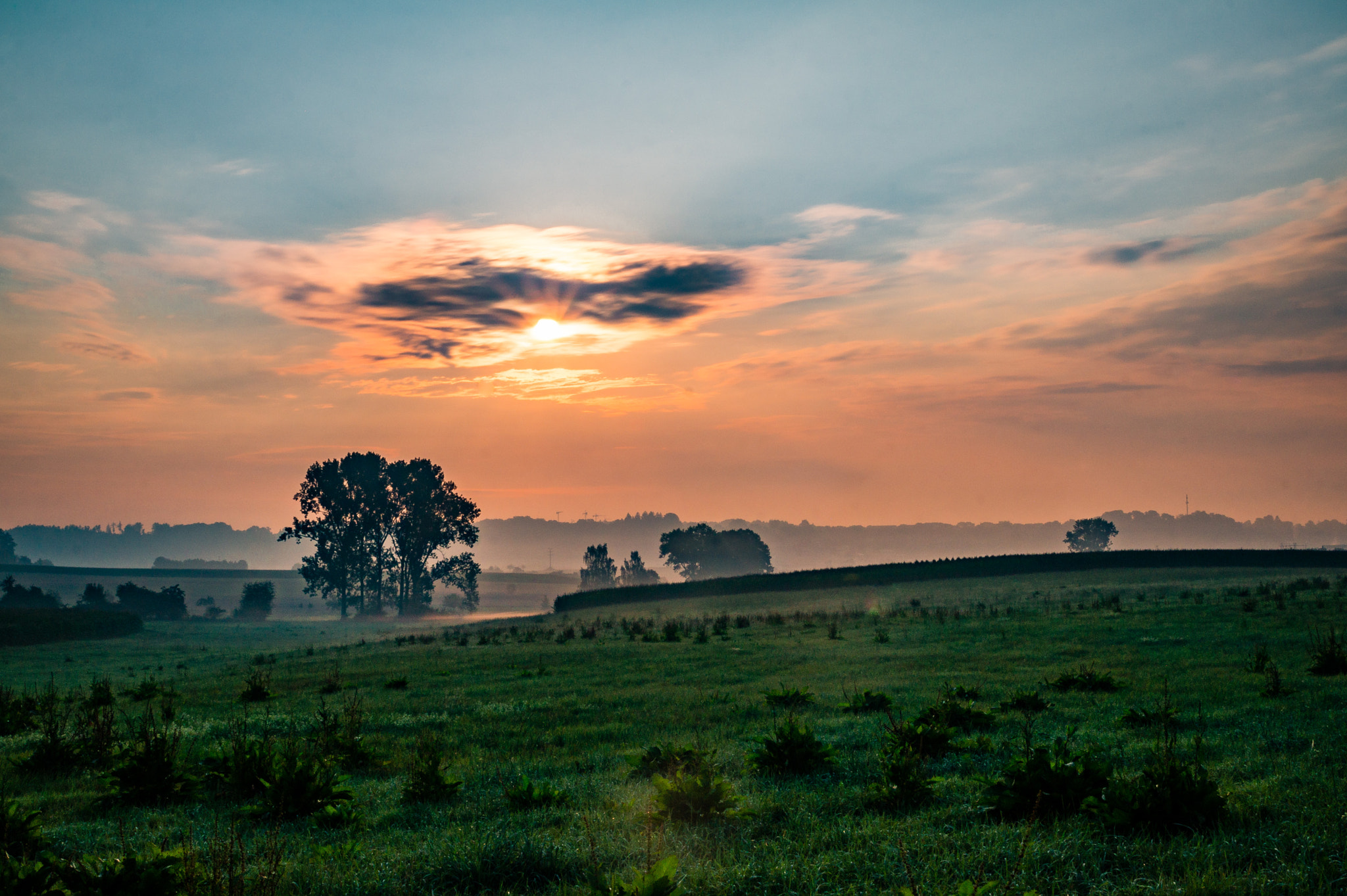 Sony SLT-A58 sample photo. Foggy morning mood - new interpretation photography