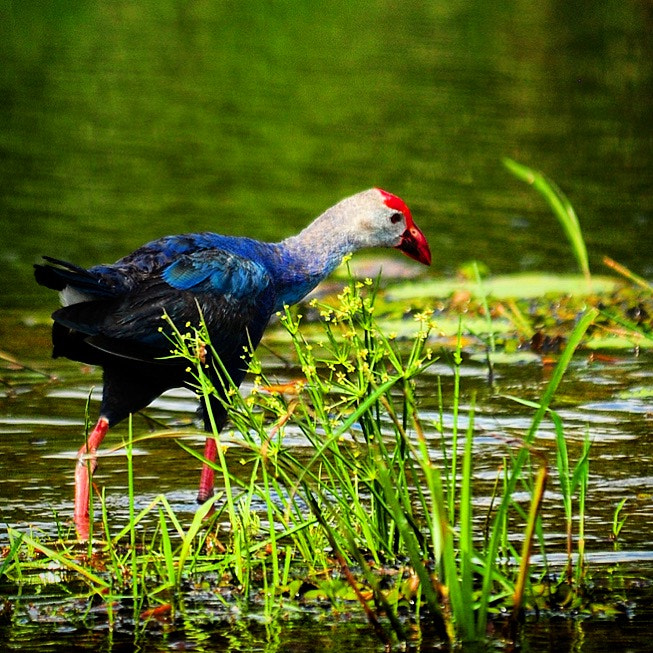 Nikon D300S sample photo. Keep looking photography