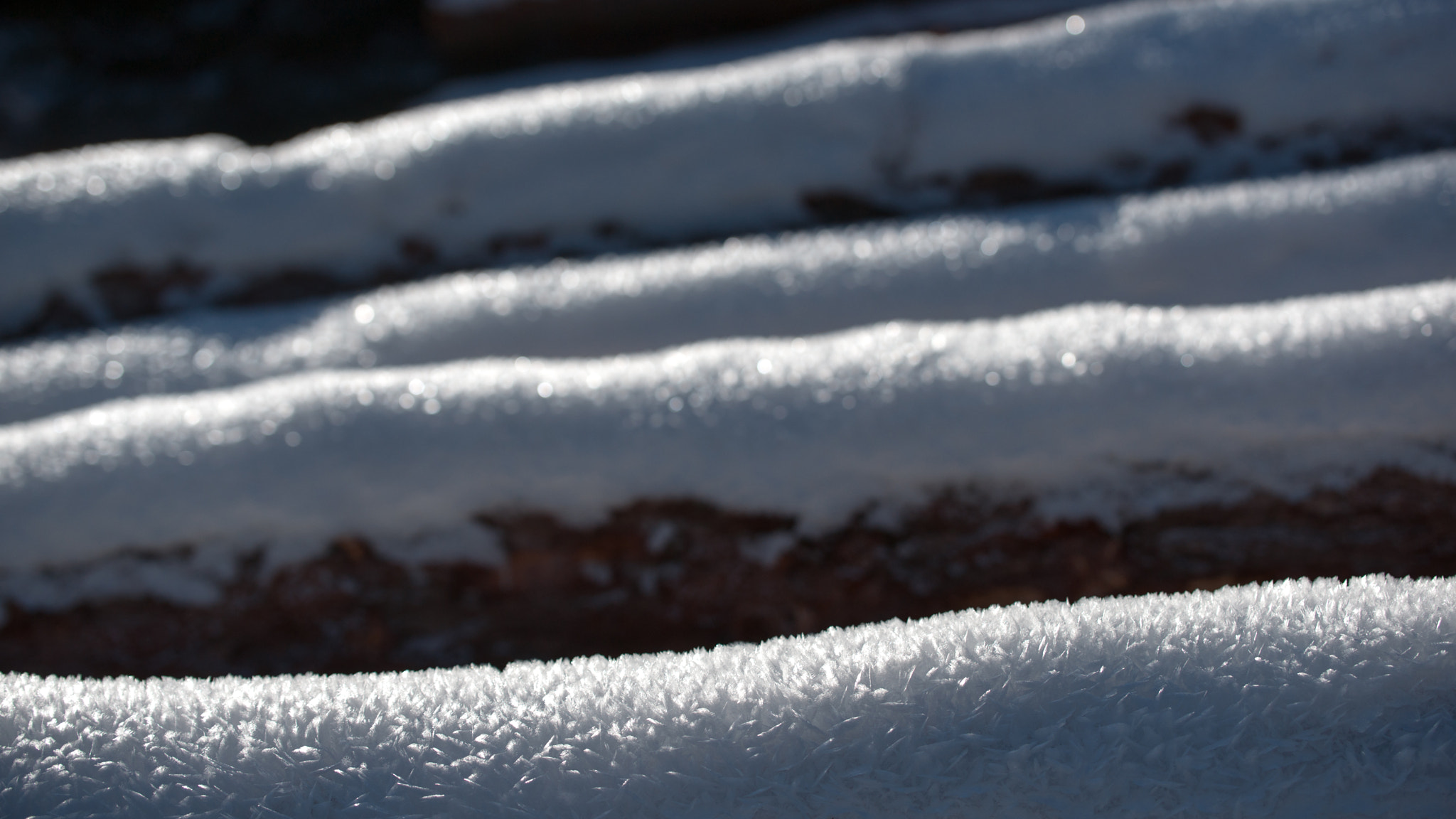 Sony Alpha DSLR-A900 + Minolta/Sony AF 70-200mm F2.8 G sample photo. Trunks and white frost photography