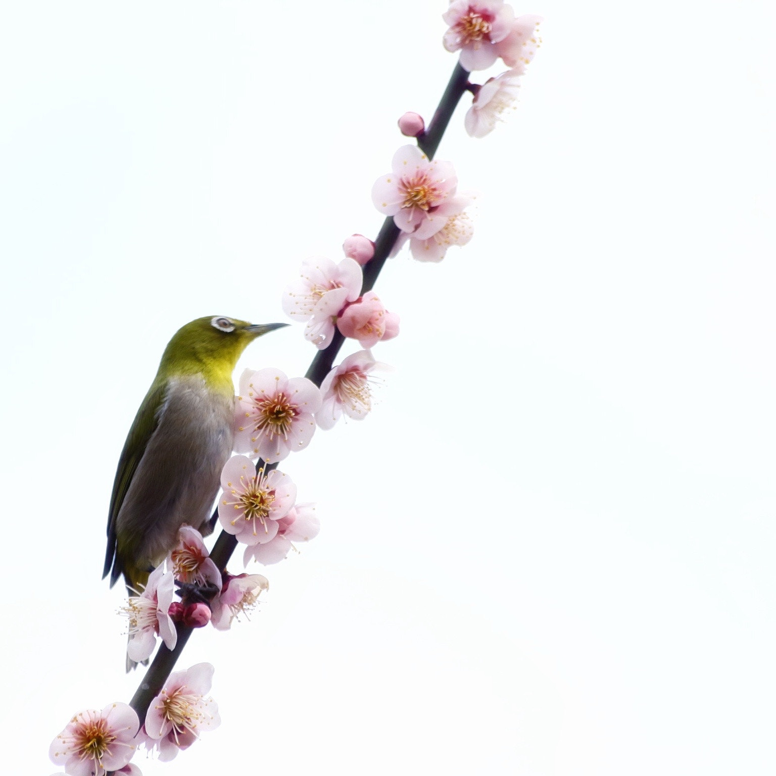 Canon EOS 60D sample photo. その先に… photography