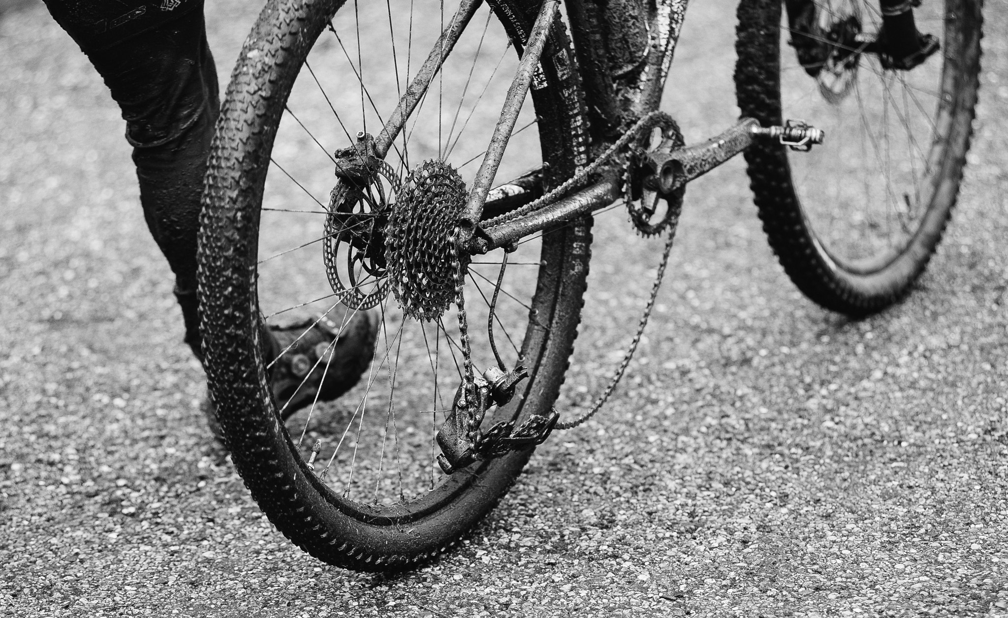 Nikon AF-Nikkor 80-200mm F2.8D ED sample photo. Broken gear. photography