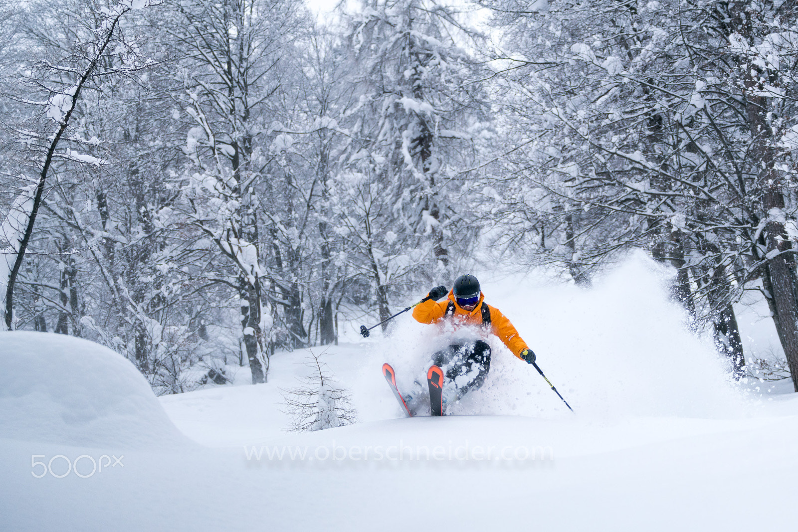 Sony a99 II sample photo. Powder skiing in winter wonderland photography