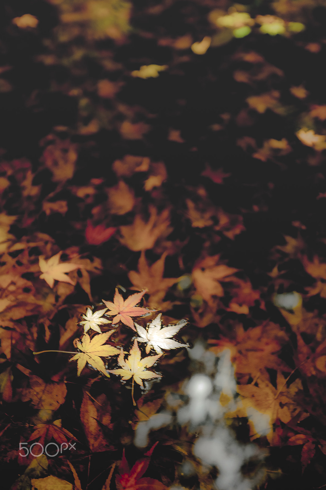 Sony Vario-Sonnar T* 16-35mm F2.8 ZA SSM II sample photo. 161128_02 photography