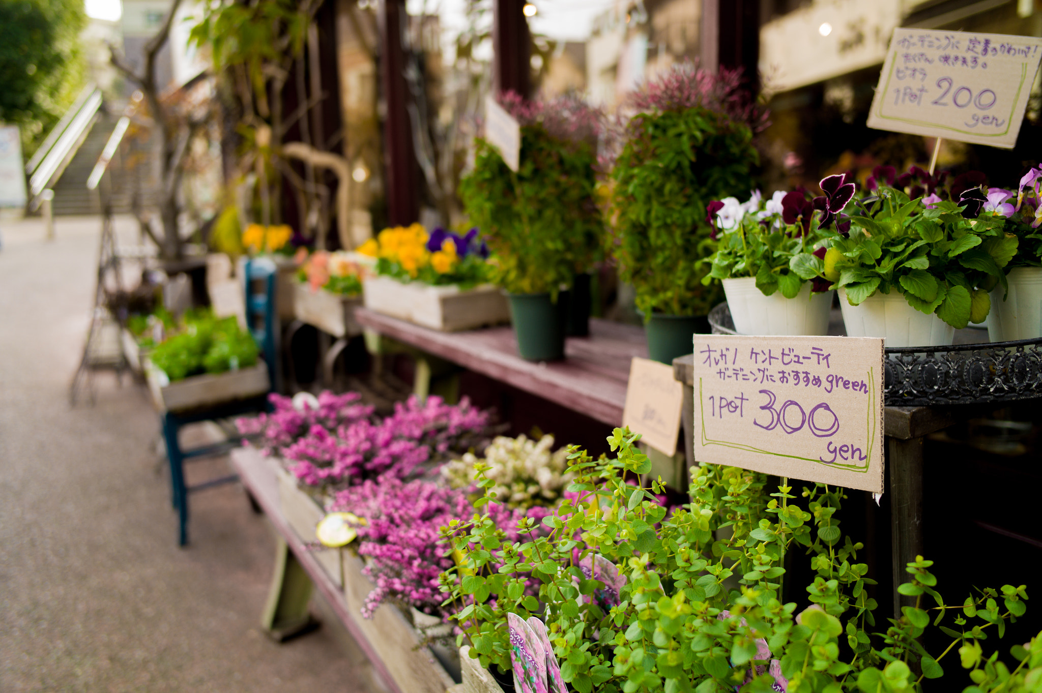 Leica Elmarit-M 28mm F2.8 ASPH sample photo. Flowershop photography