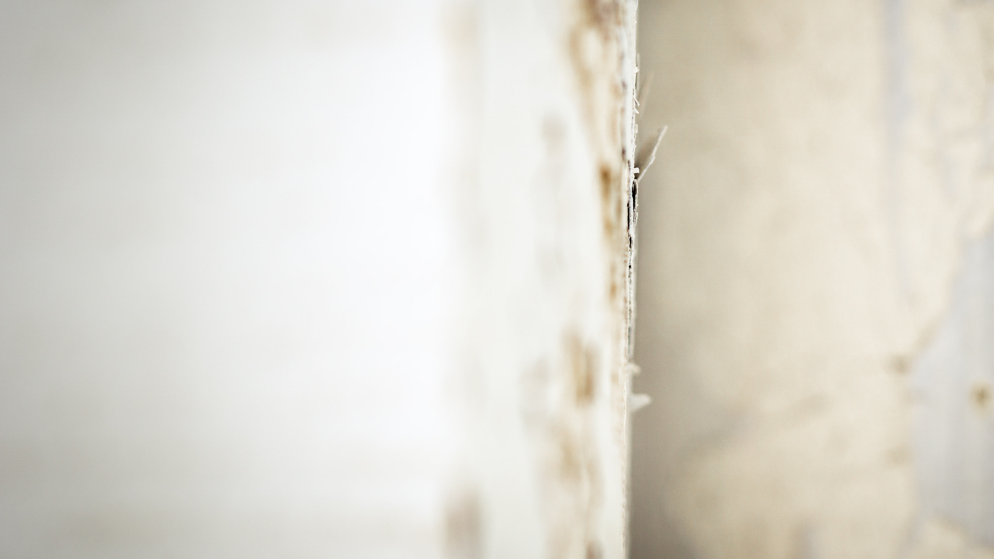 Sony a6000 + Sony FE 90mm F2.8 Macro G OSS sample photo. The dismantling. photography