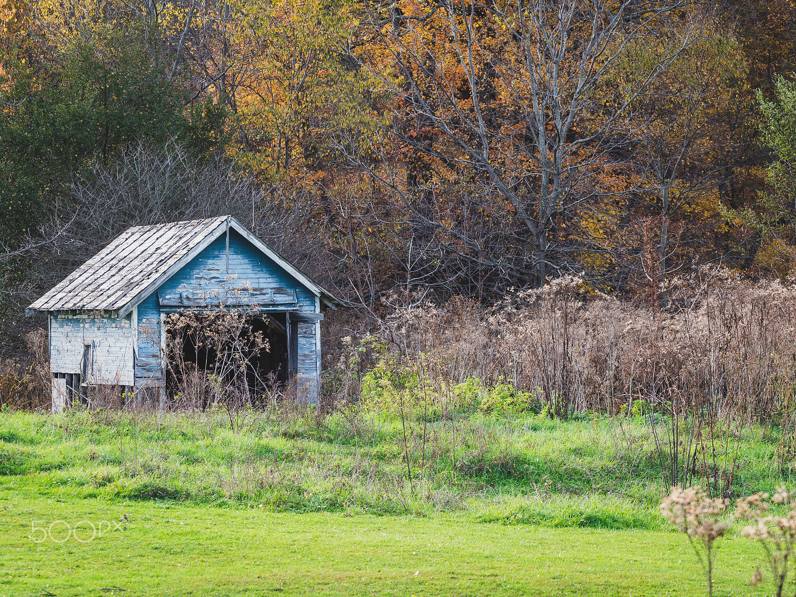 Olympus M.Zuiko Digital ED 40-150mm F2.8 Pro sample photo. Abandoned farm building photography