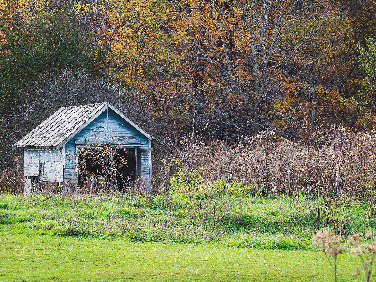 Olympus OM-D E-M5 II + Olympus M.Zuiko Digital ED 40-150mm F2.8 Pro sample photo. Abandoned farm building photography