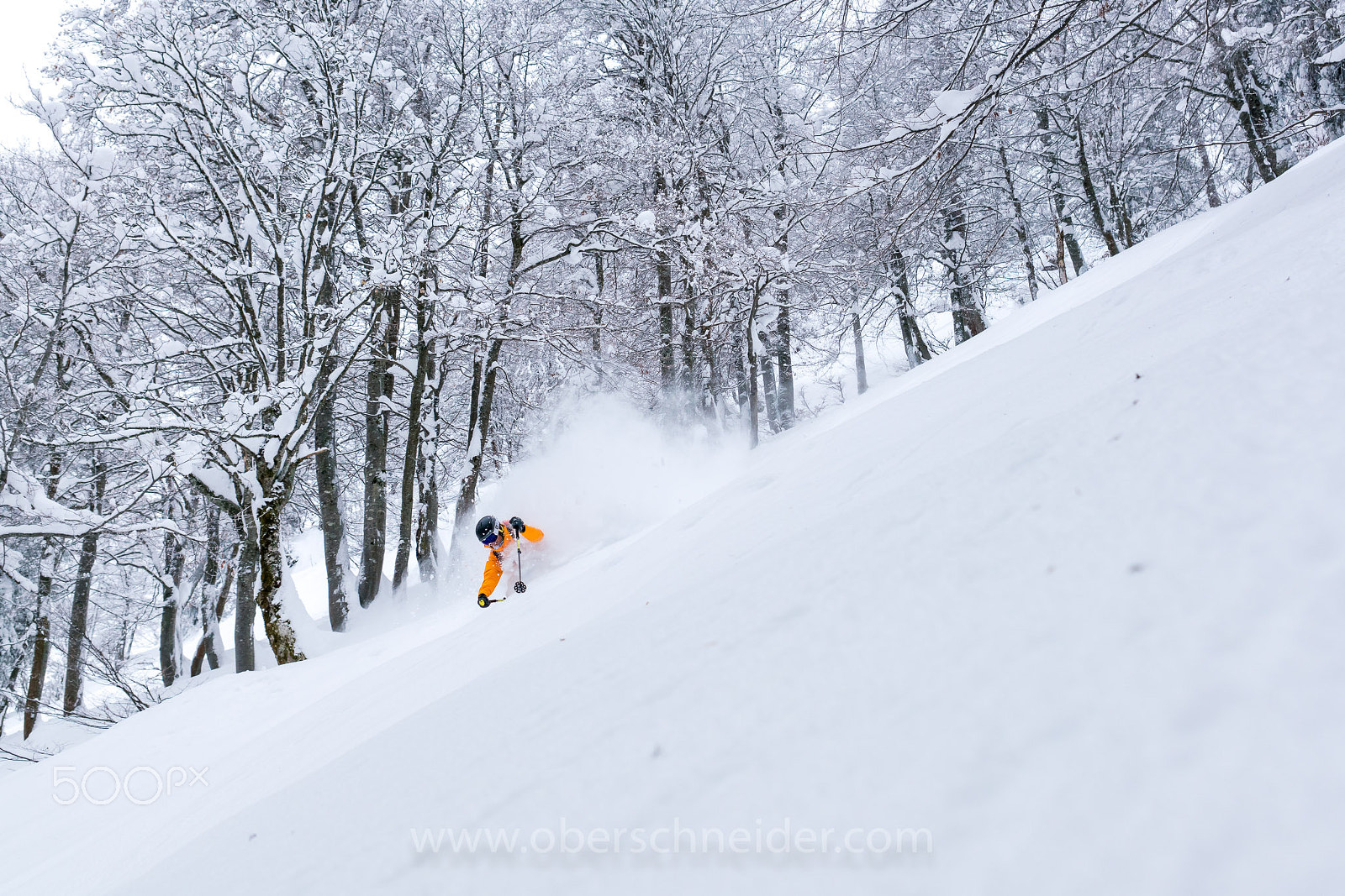 Sony a99 II sample photo. Powder skiing in winter wonderland #2 photography