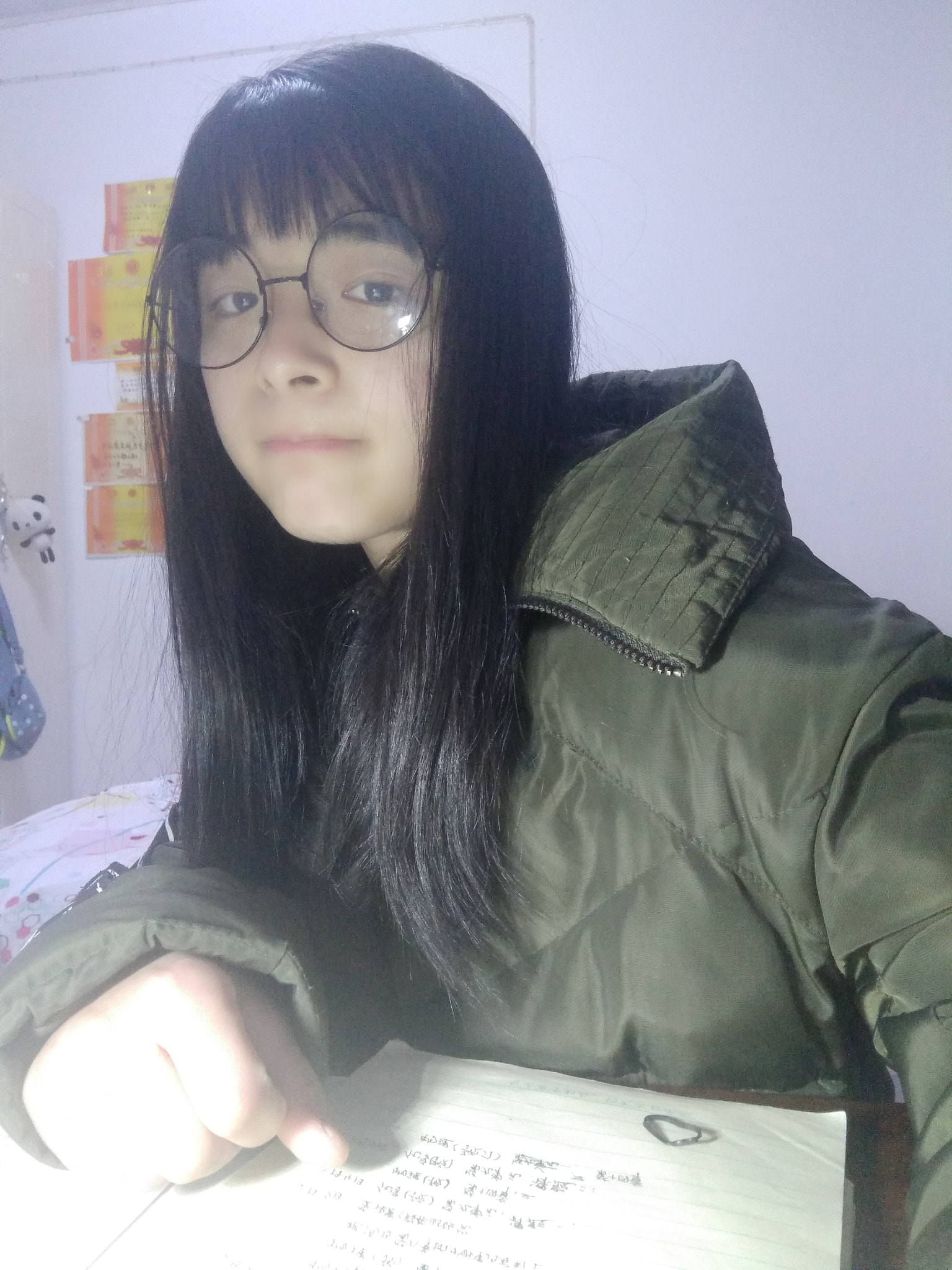 OPPO R9 PLUSTM A sample photo