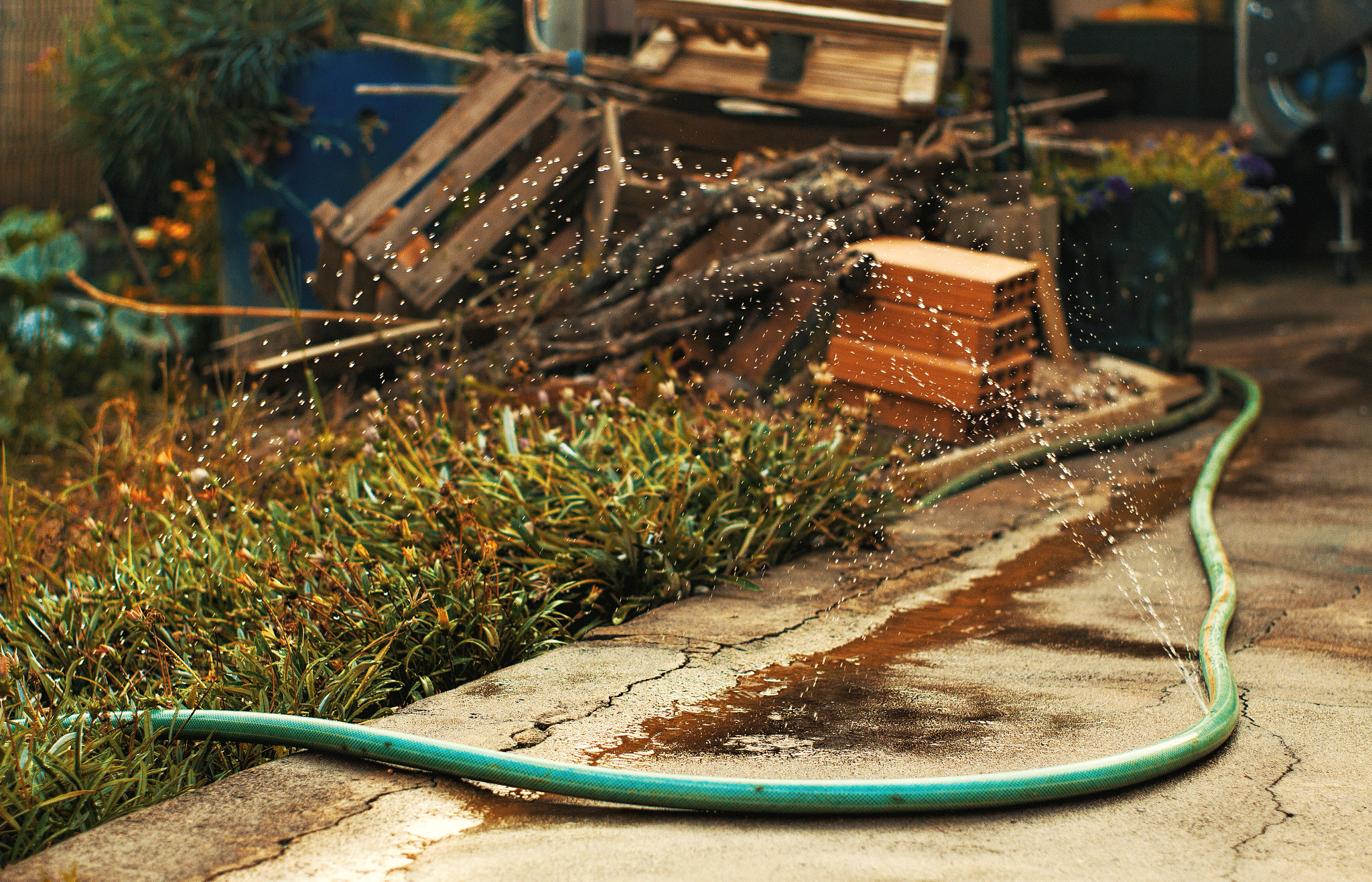 Canon EF 35-80mm f/4-5.6 sample photo. Hose photography