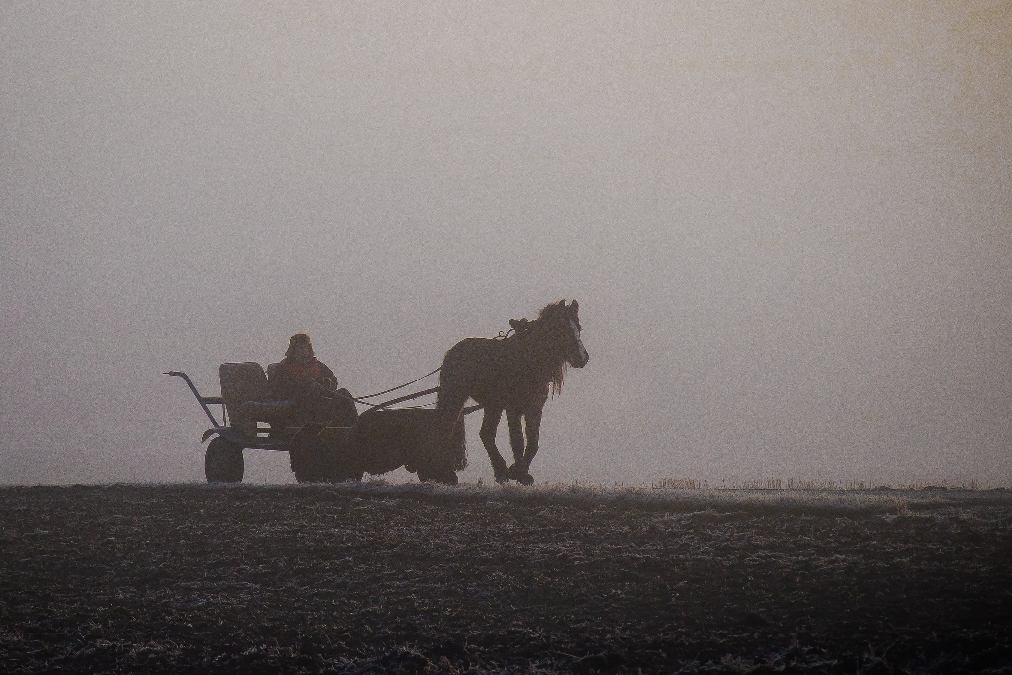 Canon EOS M3 sample photo. Man and horse in the fog photography