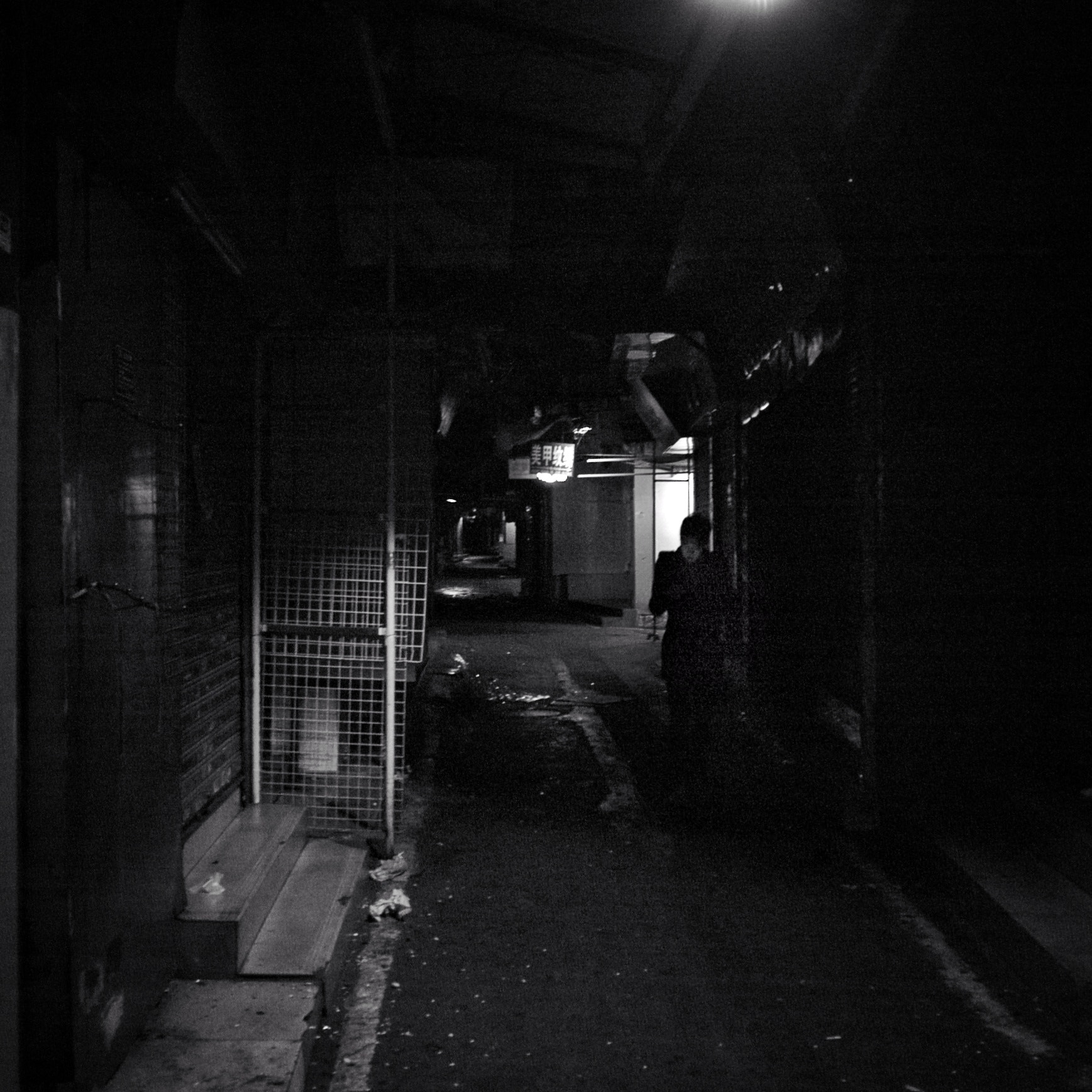 Sigma DP1x sample photo