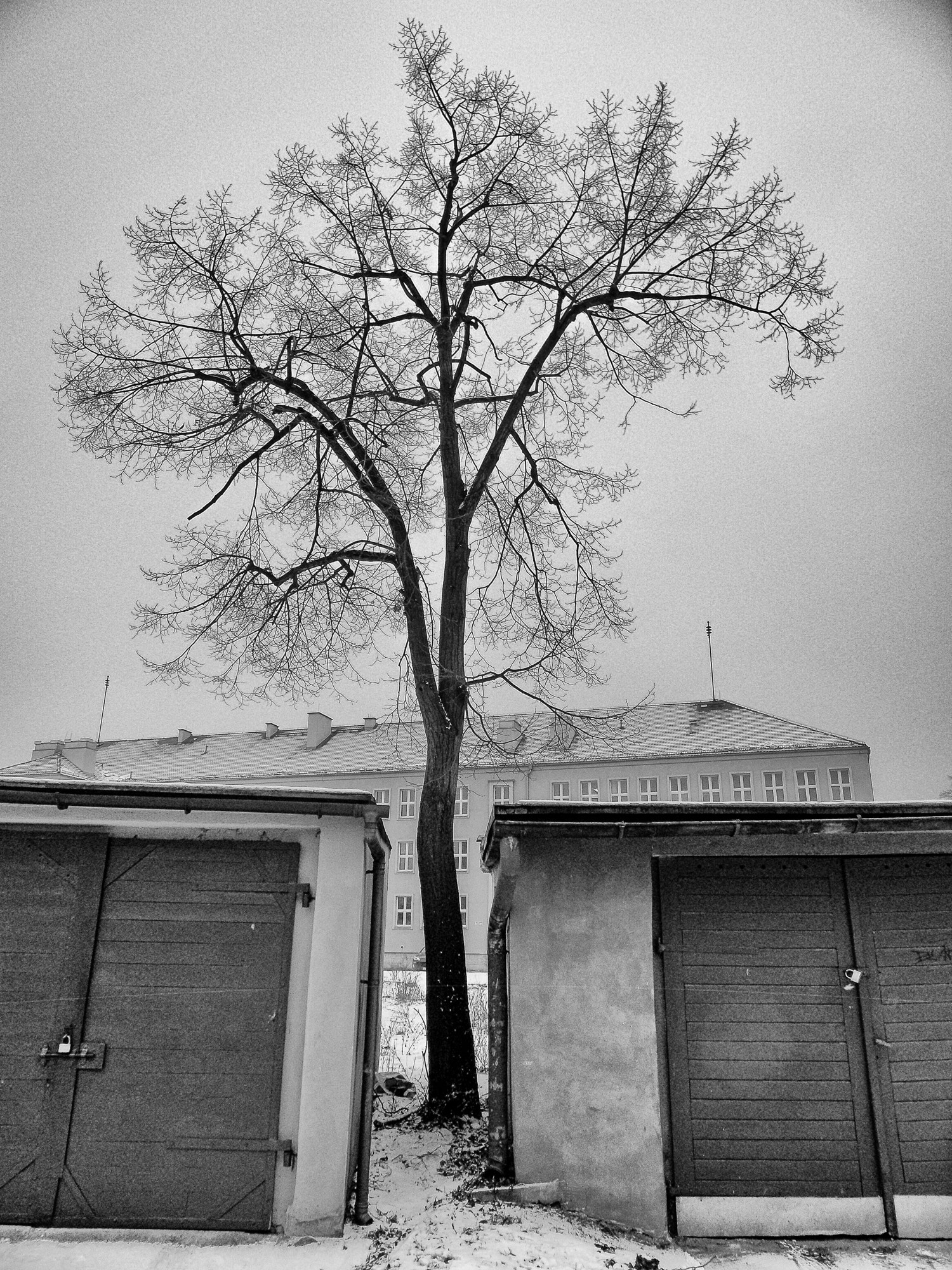 Samsung WB600 / VLUU WB600 /  WB610 sample photo. Squeezed in between photography
