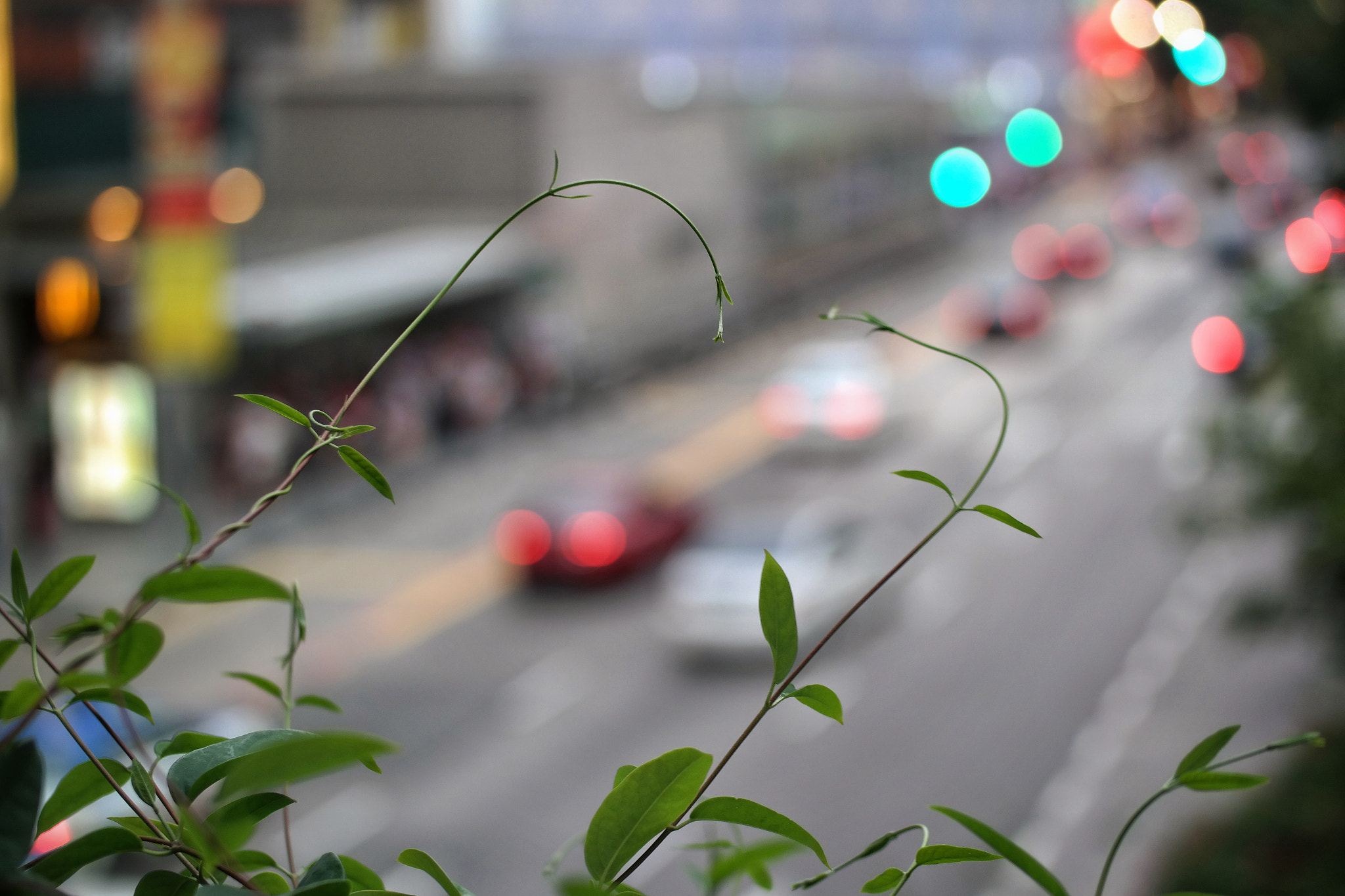 Samsung NX300M sample photo. Dear friend  photography