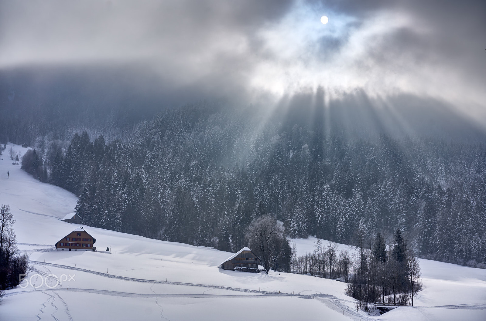 Sony a7R II + Sony Sonnar T* FE 55mm F1.8 ZA sample photo. Sunbeams above leimbach photography