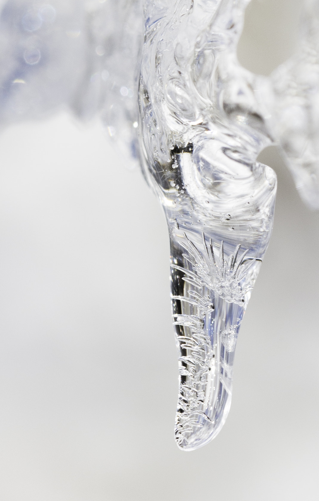 Sigma 105mm F2.8 EX DG OS HSM sample photo. Ice fer photography