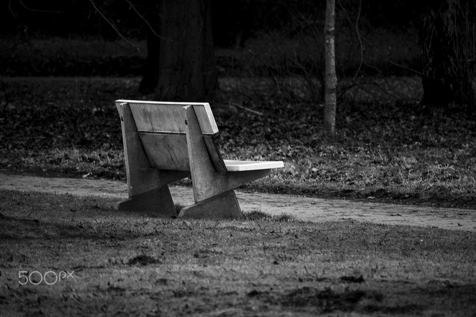 Canon EOS 550D (EOS Rebel T2i / EOS Kiss X4) + Canon EF-S 55-250mm F4-5.6 IS STM sample photo. Bench photography