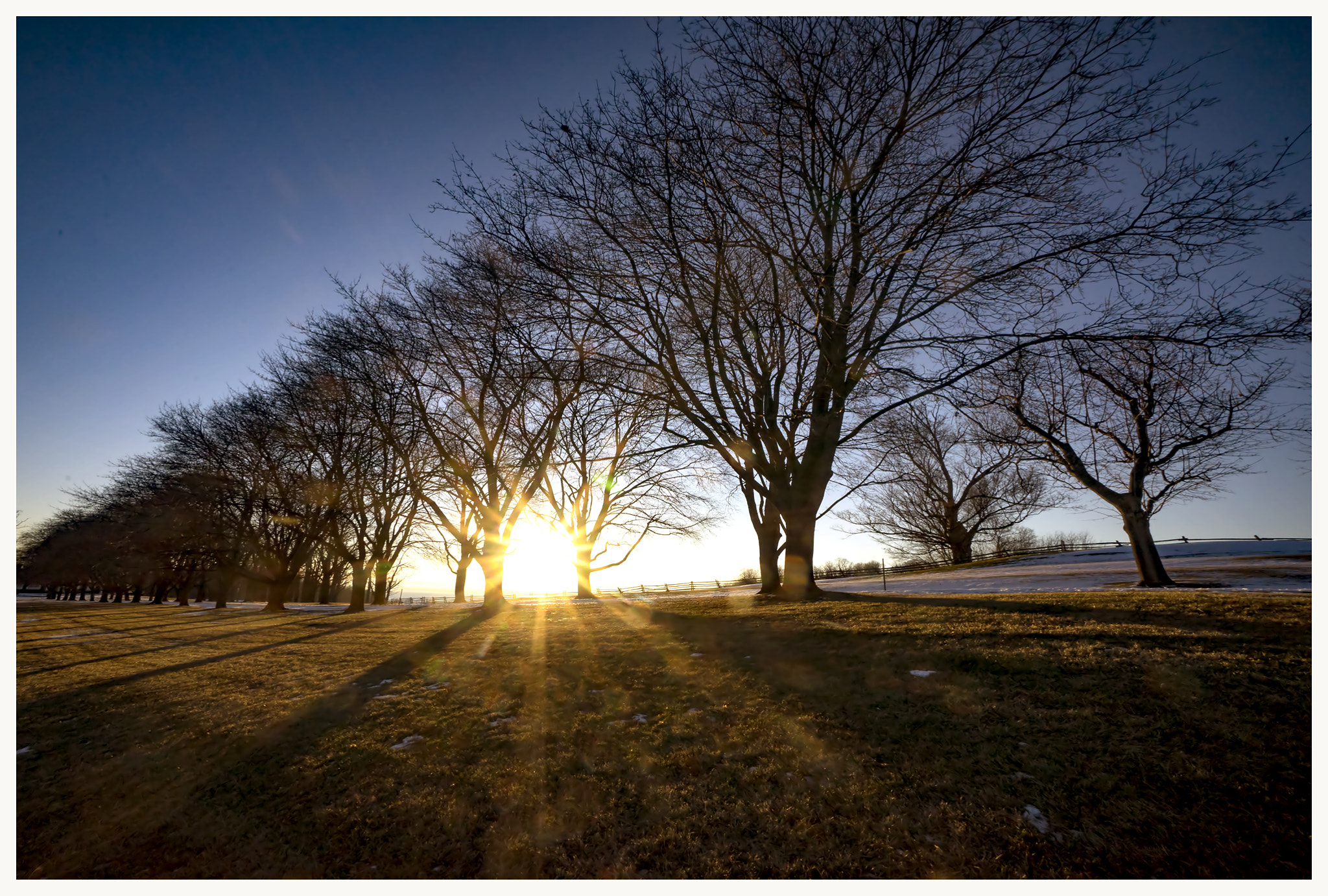 Sony a7 + Sony E 10-18mm F4 OSS sample photo. Line of trees photography