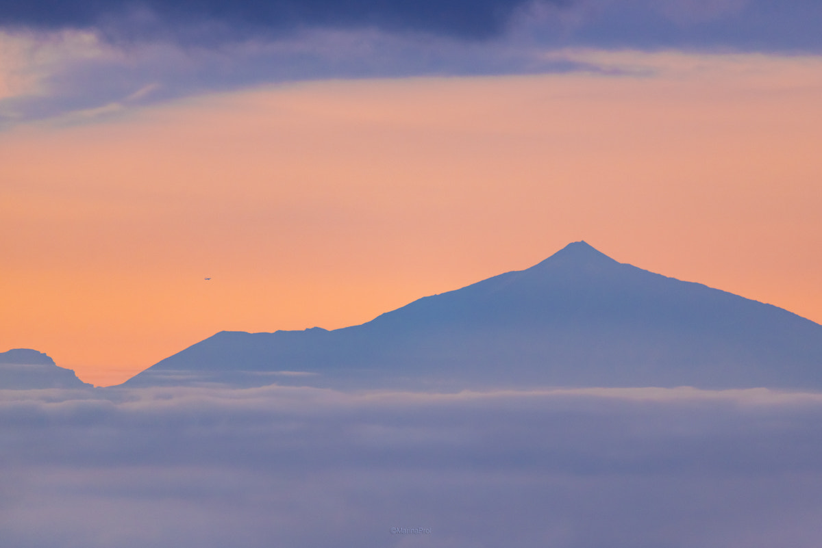 Sigma 150-600mm F5-6.3 DG OS HSM | S sample photo. Bon voyage photography