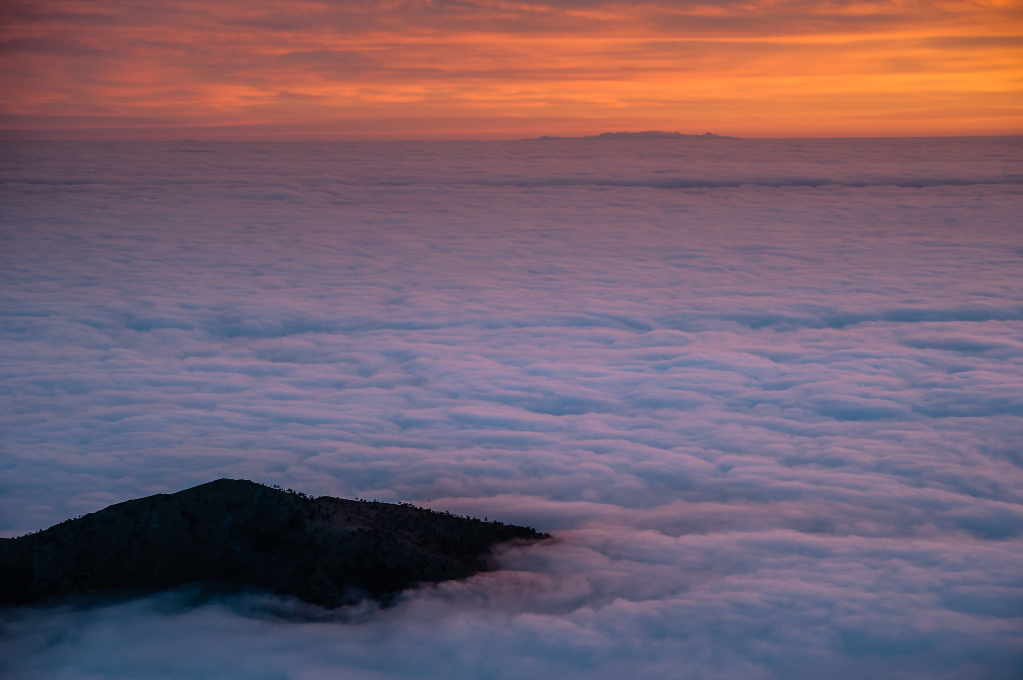 Nikon D700 sample photo. Corsica appears above cloud sea photography