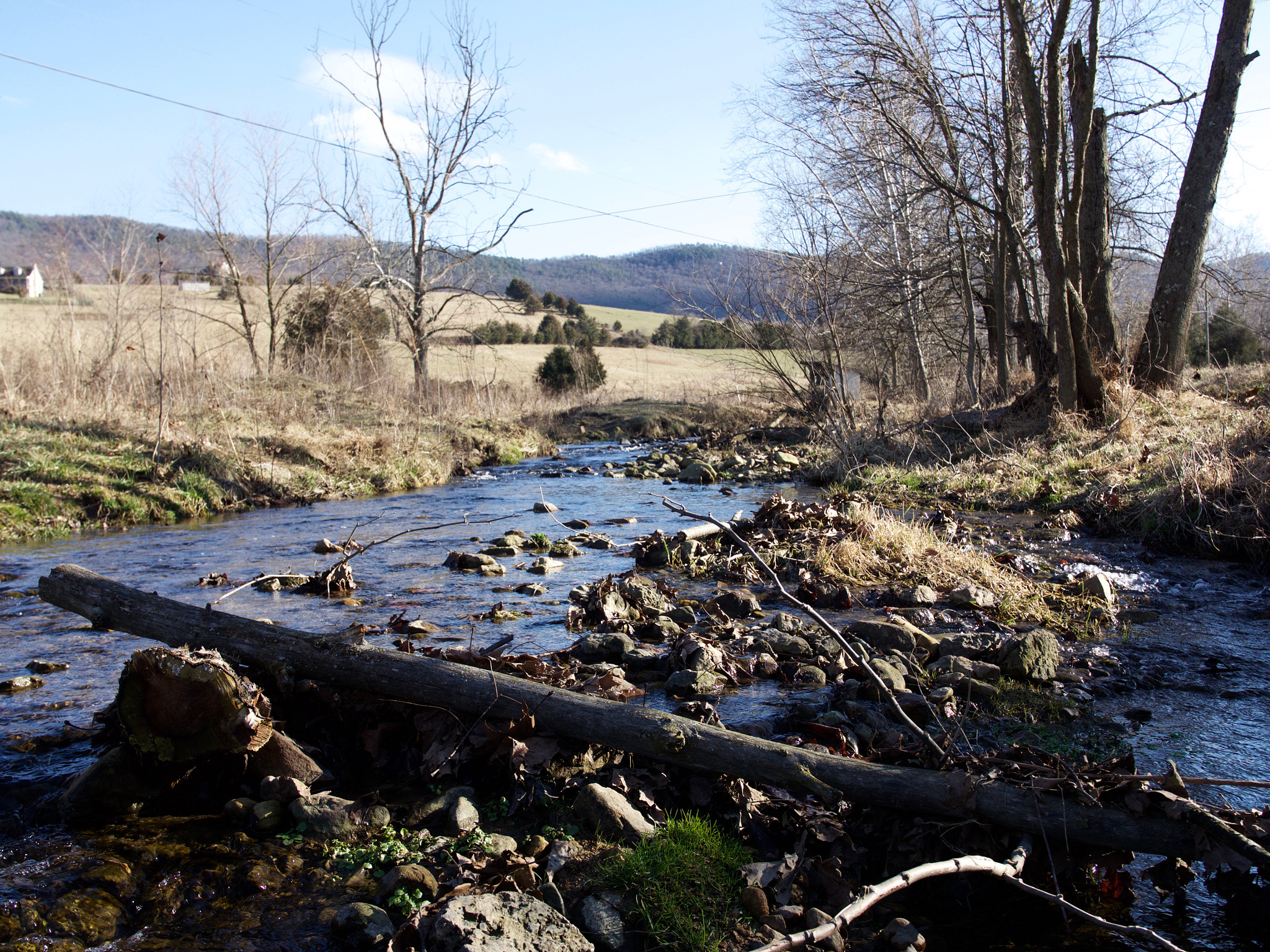 Panasonic Lumix DMC-GH4 sample photo. Driftwood. photography