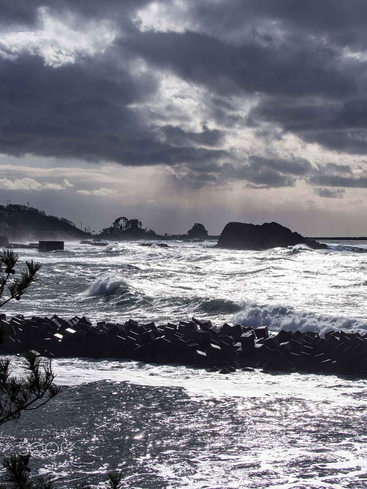 Panasonic Lumix G X Vario 35-100mm F2.8 OIS sample photo. Strong wind photography
