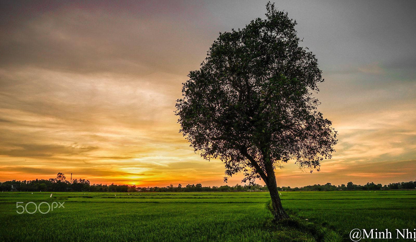 Sony a7 II + ZEISS Batis 25mm F2 sample photo. Field photography