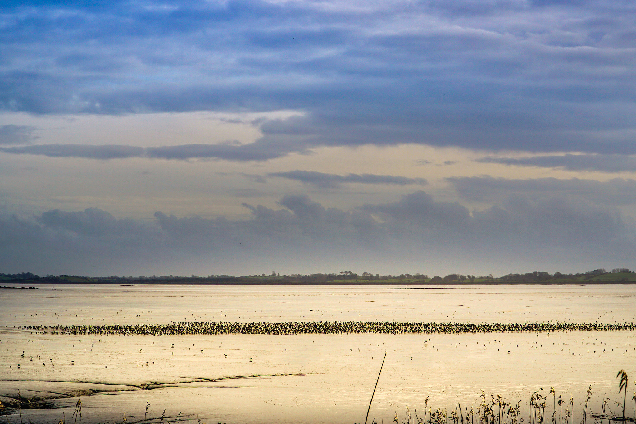 Sony E PZ 18-105mm F4 G OSS sample photo. Shannon estuary photography